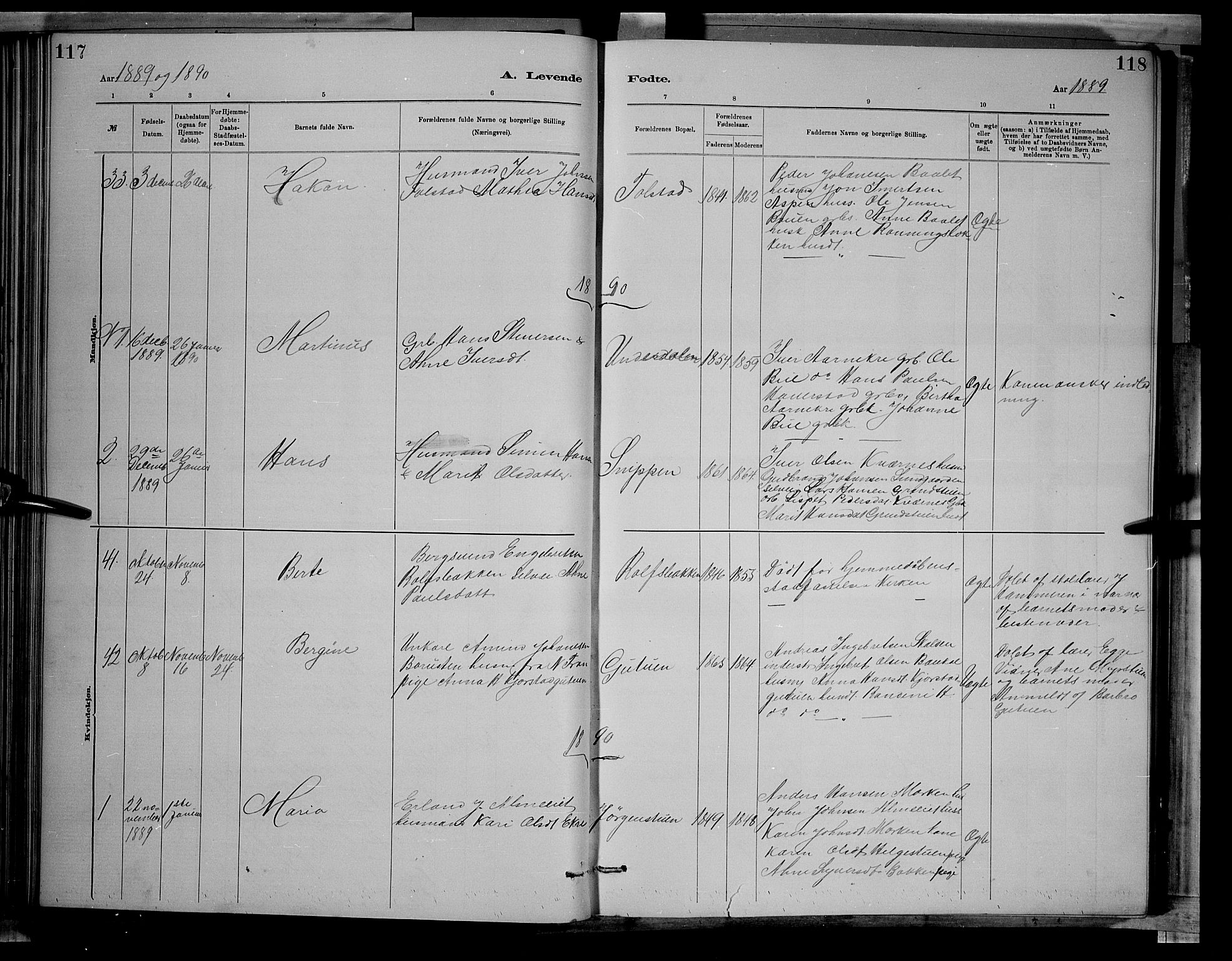 Sør-Fron prestekontor, SAH/PREST-010/H/Ha/Hab/L0003: Parish register (copy) no. 3, 1884-1896, p. 117-118