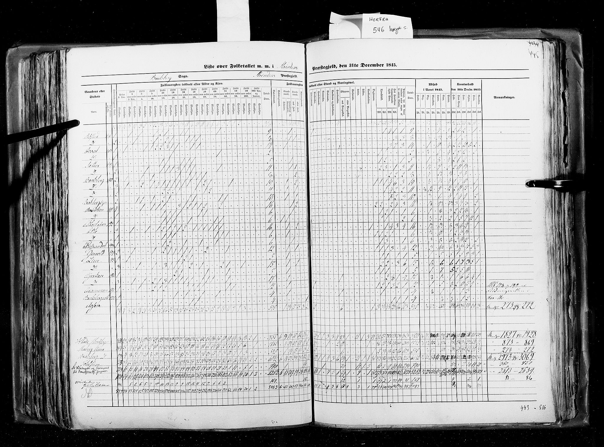 RA, Census 1845, vol. 8: Romsdal amt og Søndre Trondhjems amt, 1845, p. 445