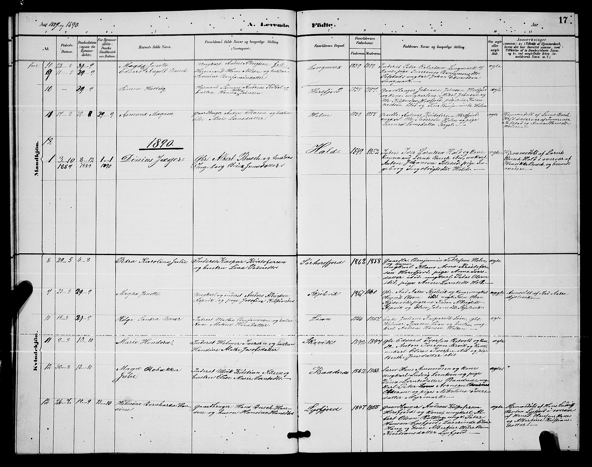 Ministerialprotokoller, klokkerbøker og fødselsregistre - Nordland, SAT/A-1459/811/L0169: Parish register (copy) no. 811C01, 1884-1894, p. 17