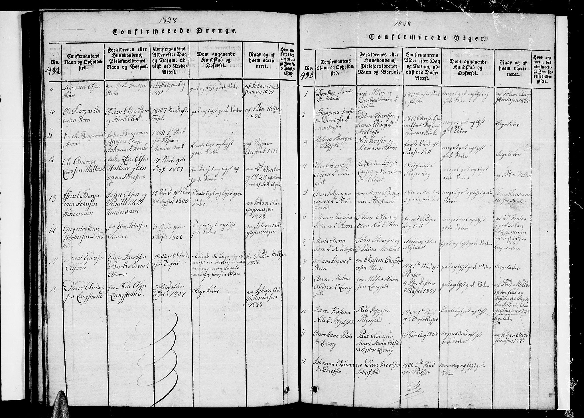 Ministerialprotokoller, klokkerbøker og fødselsregistre - Nordland, AV/SAT-A-1459/838/L0554: Parish register (copy) no. 838C01, 1820-1828, p. 492-493