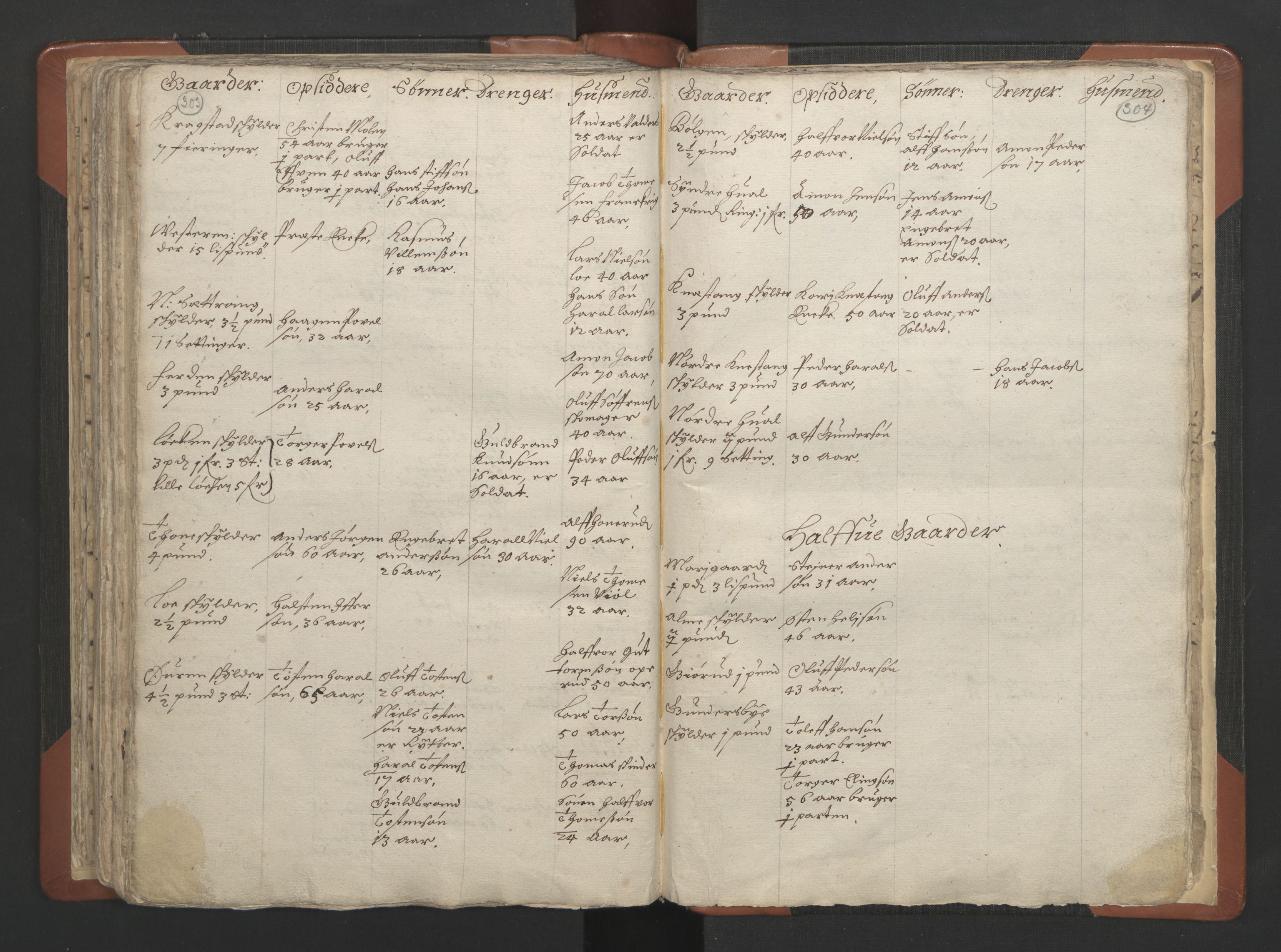 RA, Vicar's Census 1664-1666, no. 7: Hadeland deanery, 1664-1666, p. 303-304