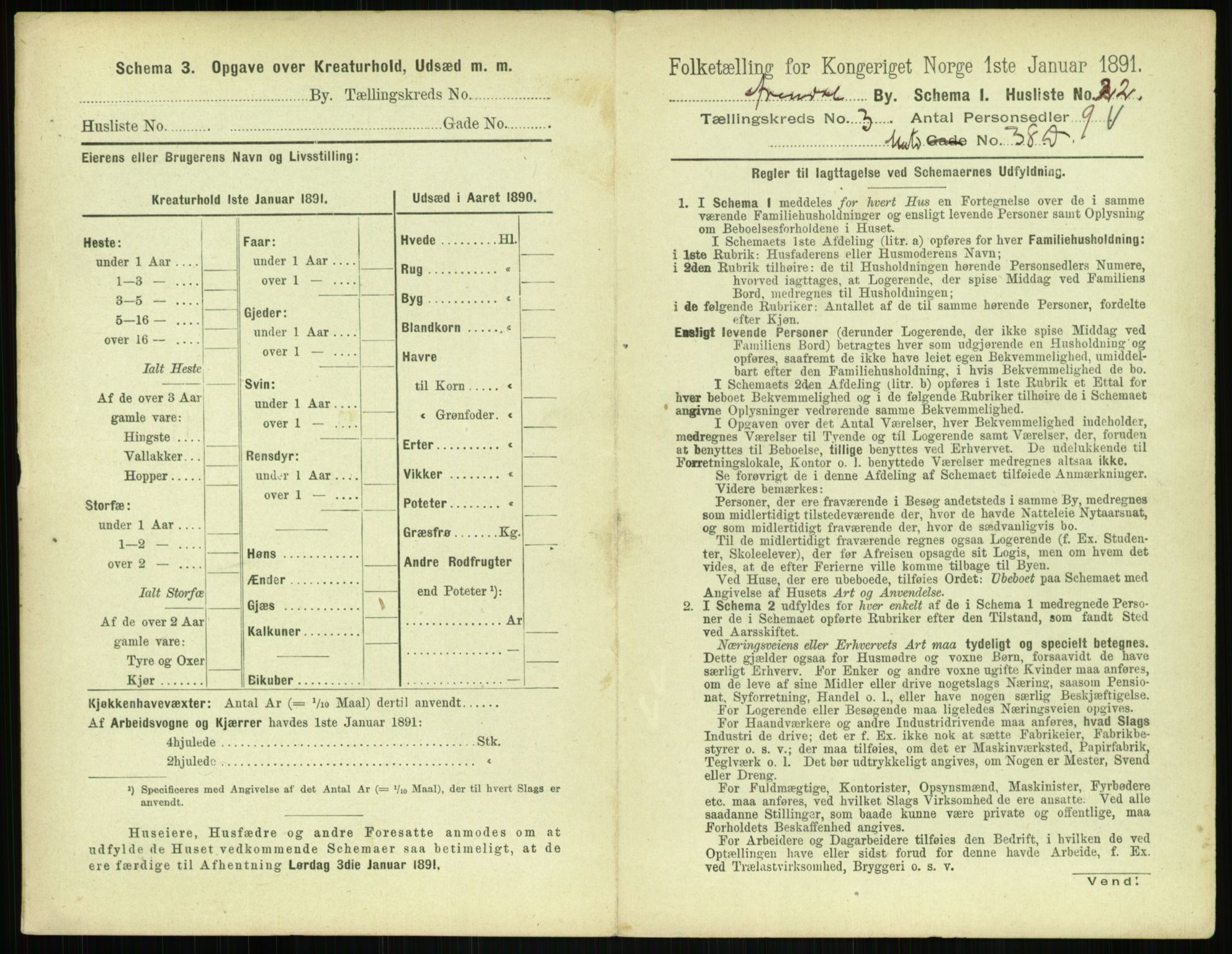 RA, 1891 census for 0903 Arendal, 1891, p. 166