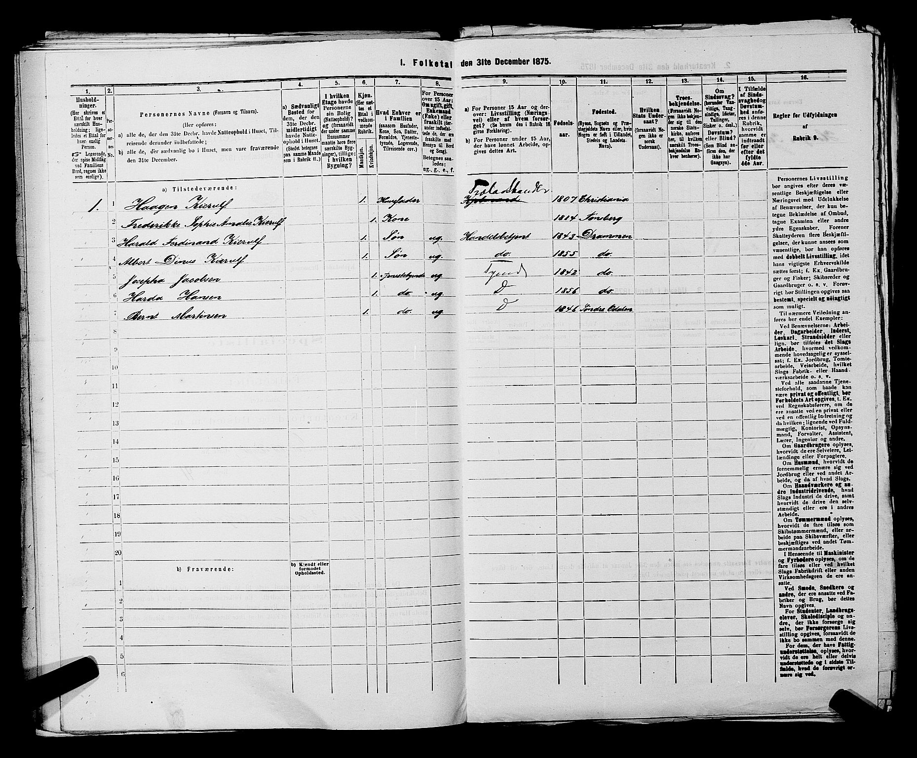 SAKO, 1875 census for 0602 Drammen, 1875, p. 3529