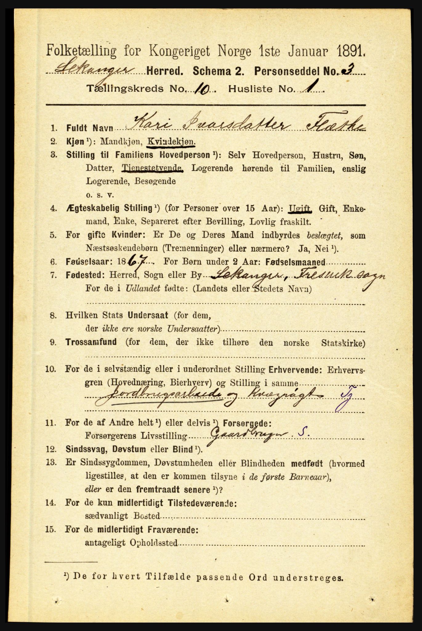 RA, 1891 census for 1419 Leikanger, 1891, p. 1816