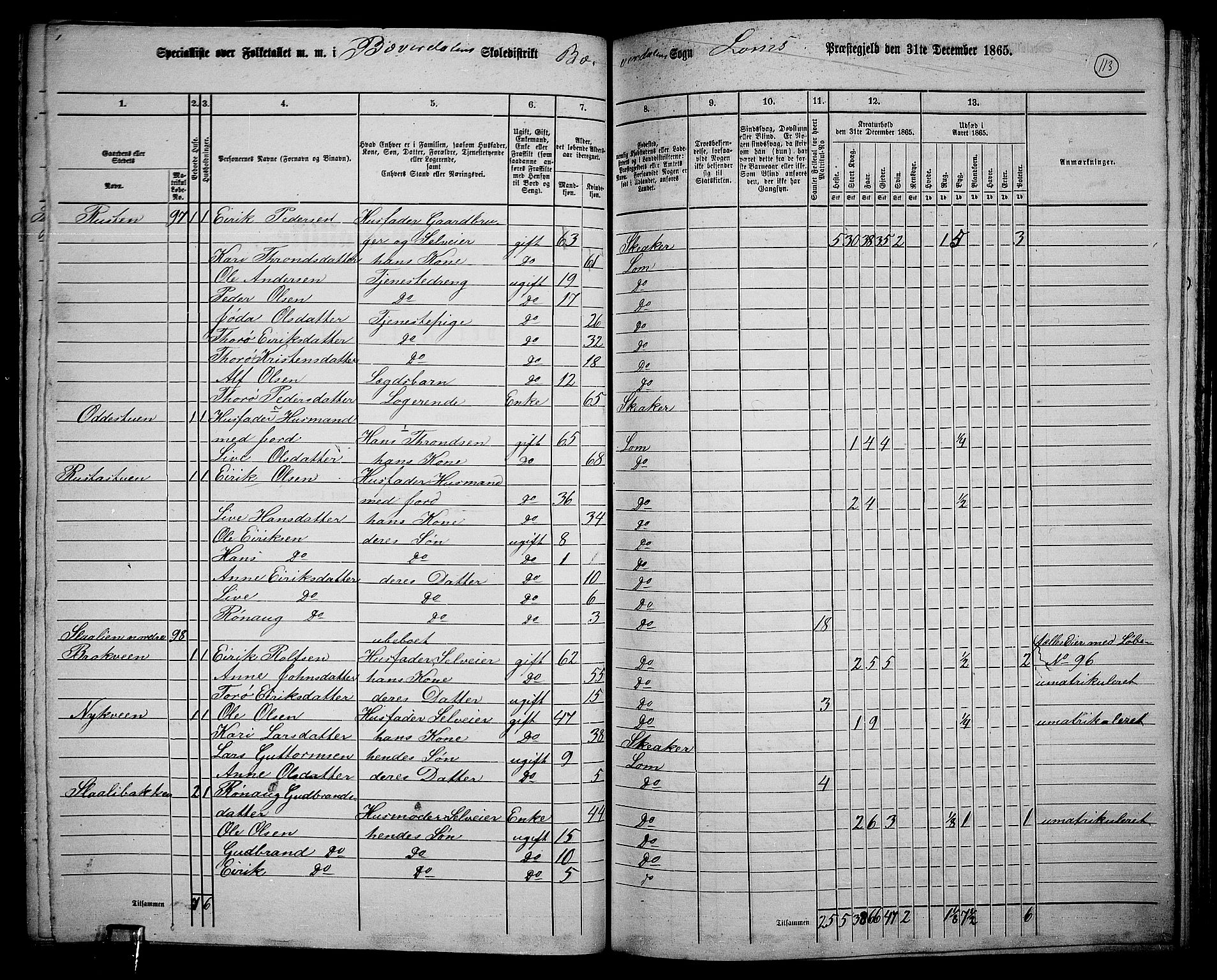 RA, 1865 census for Lom, 1865, p. 105