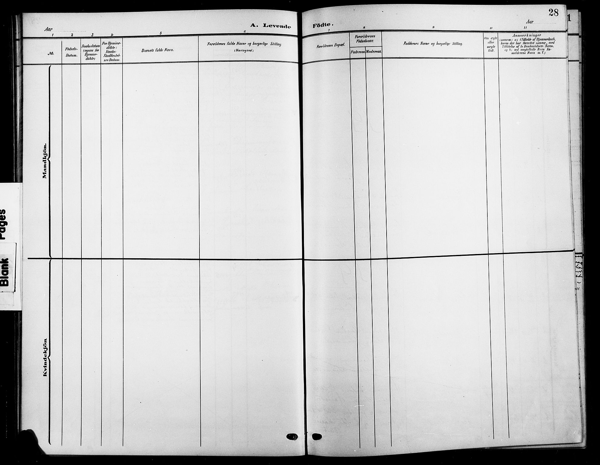 Biri prestekontor, SAH/PREST-096/H/Ha/Hab/L0005: Parish register (copy) no. 5, 1906-1919, p. 28