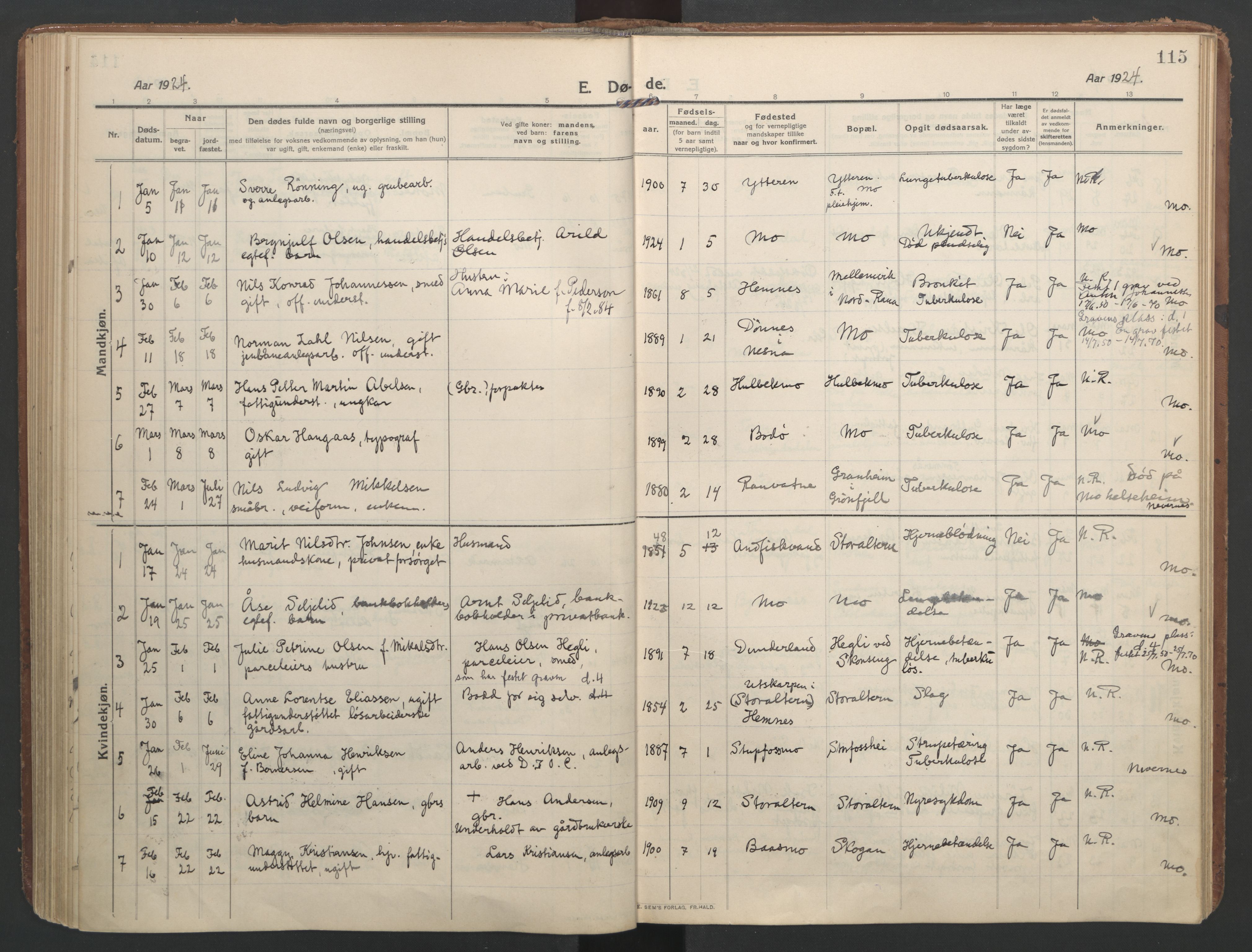 Ministerialprotokoller, klokkerbøker og fødselsregistre - Nordland, SAT/A-1459/827/L0405: Parish register (official) no. 827A17, 1912-1925, p. 115