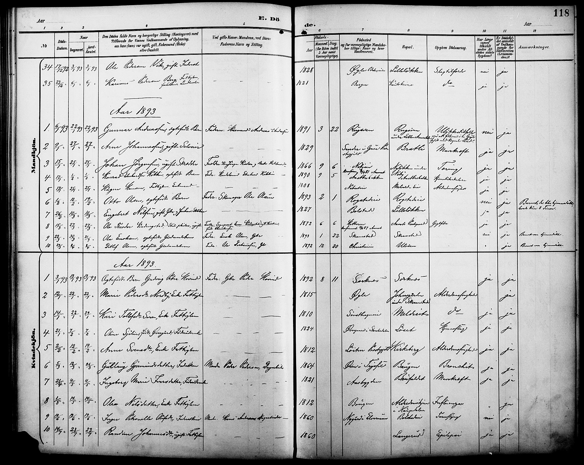 Åmot prestekontor, Hedmark, SAH/PREST-056/H/Ha/Haa/L0011: Parish register (official) no. 11, 1890-1897, p. 118