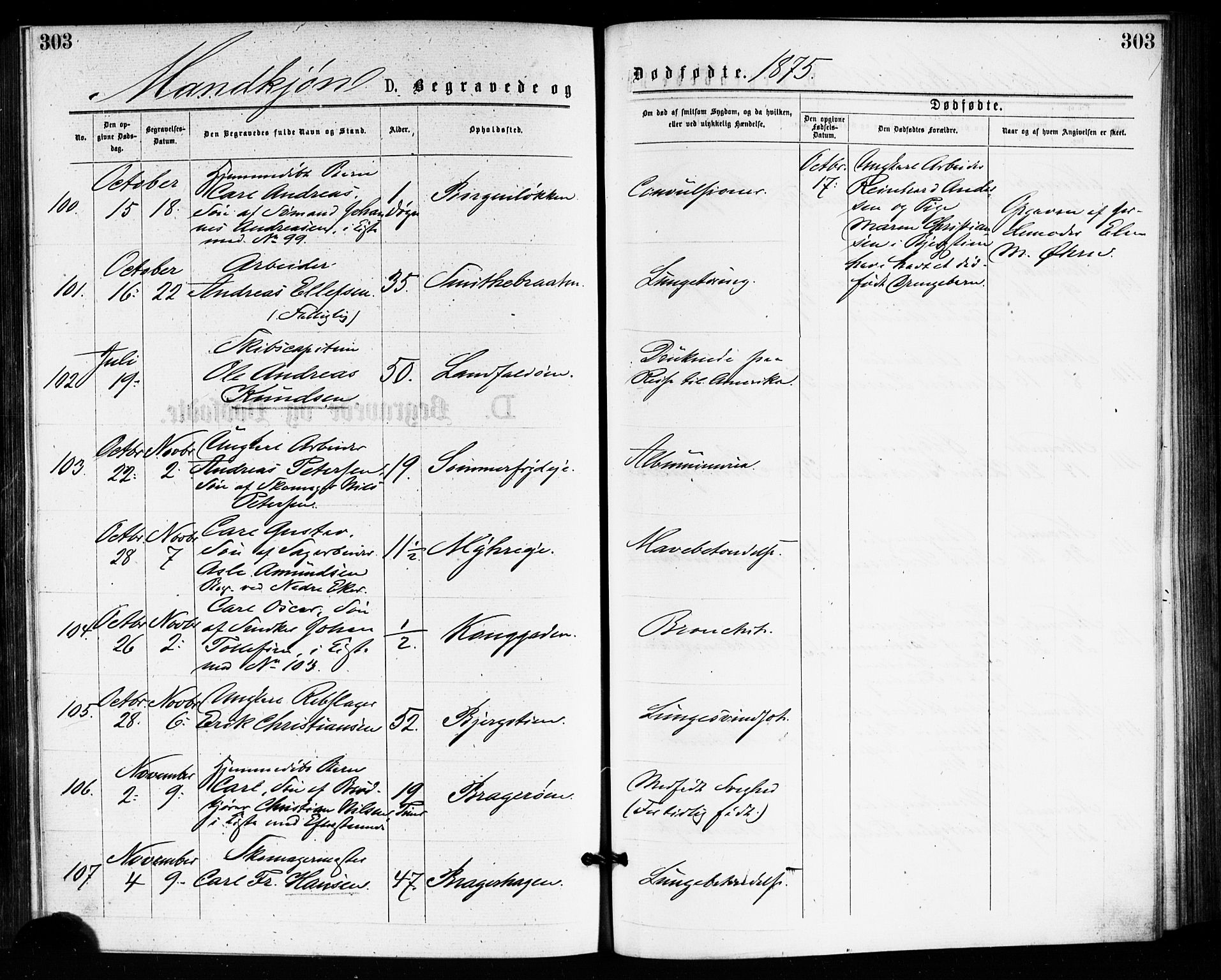 Bragernes kirkebøker, SAKO/A-6/F/Fb/L0005: Parish register (official) no. II 5, 1875-1877, p. 303
