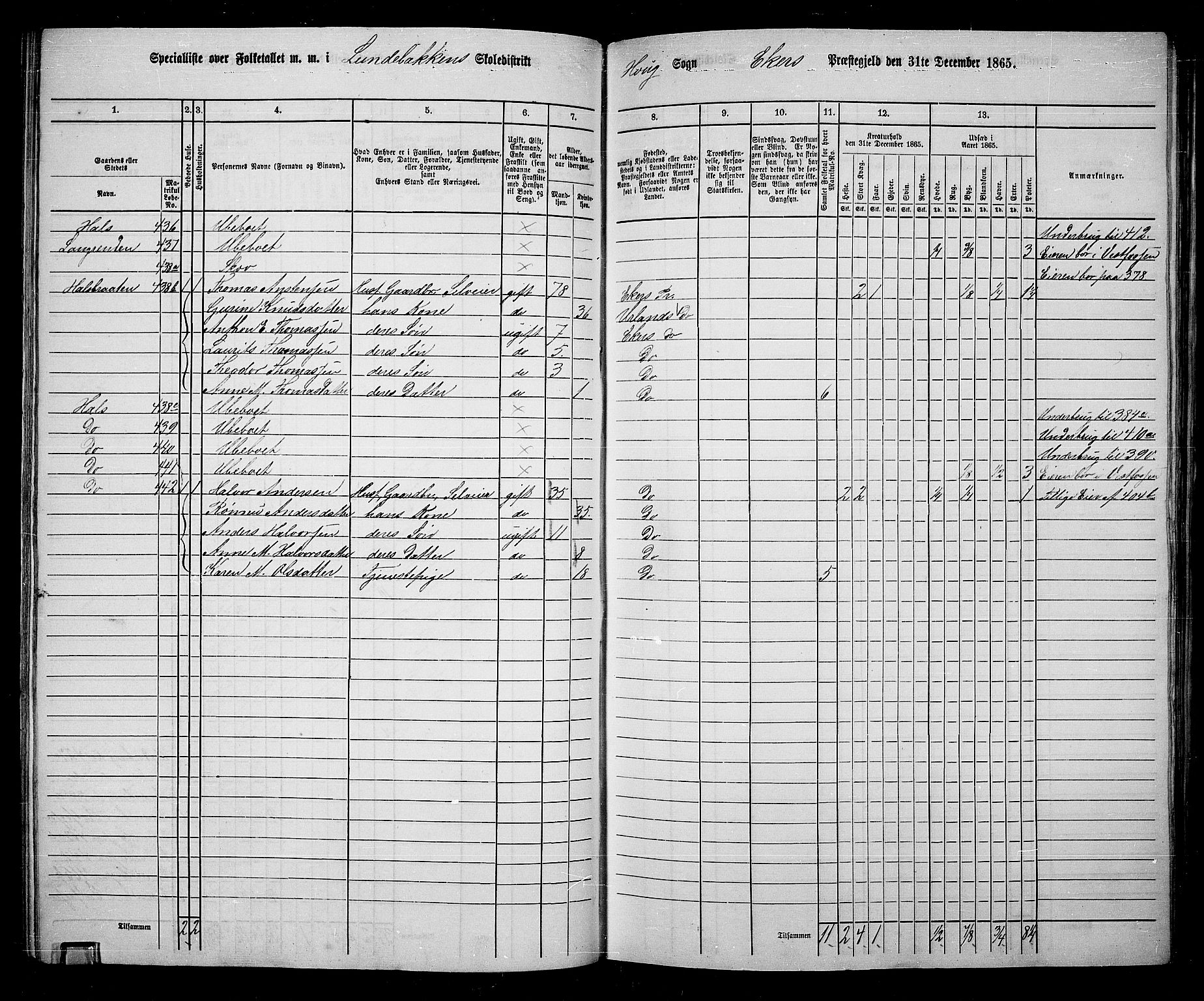 RA, 1865 census for Eiker, 1865, p. 102