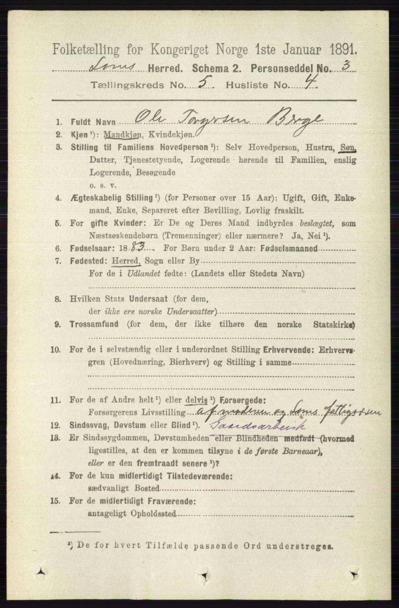 RA, 1891 census for 0514 Lom, 1891, p. 1866