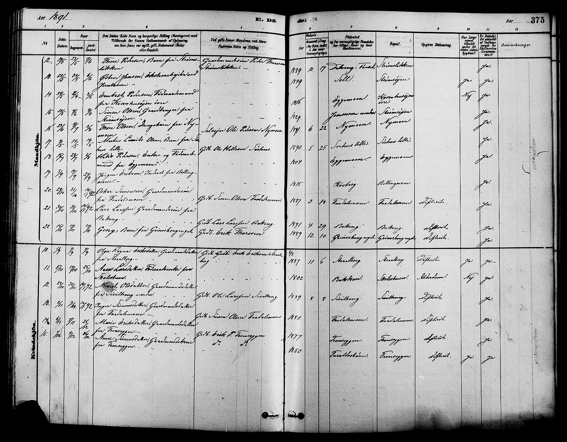 Alvdal prestekontor, SAH/PREST-060/H/Ha/Hab/L0003: Parish register (copy) no. 3, 1878-1907, p. 375