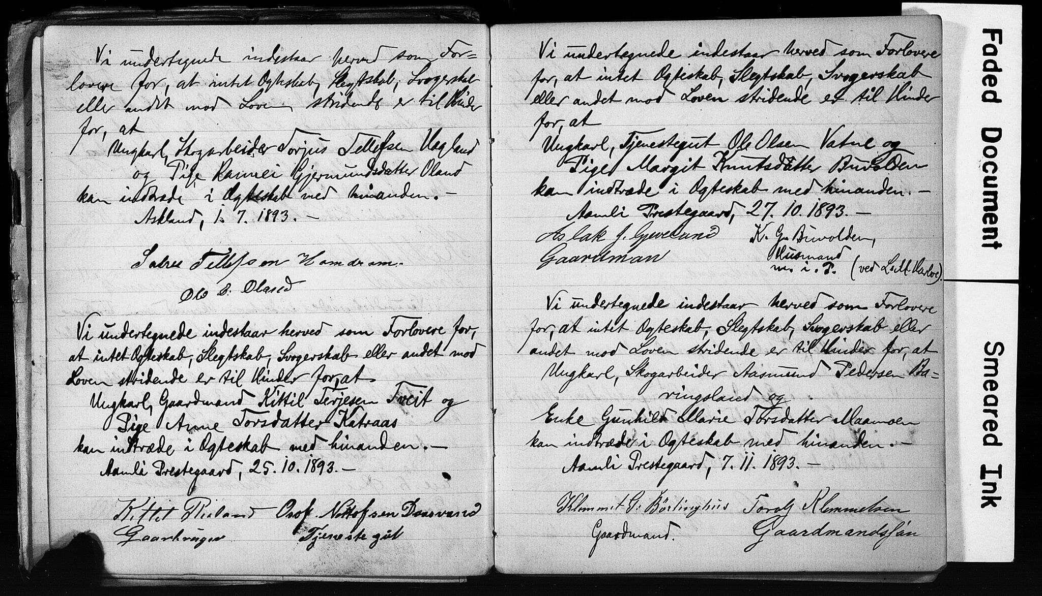Åmli sokneprestkontor, AV/SAK-1111-0050/F/Fe/L0003: Best man's statements no. A VI 20, 1885-1905
