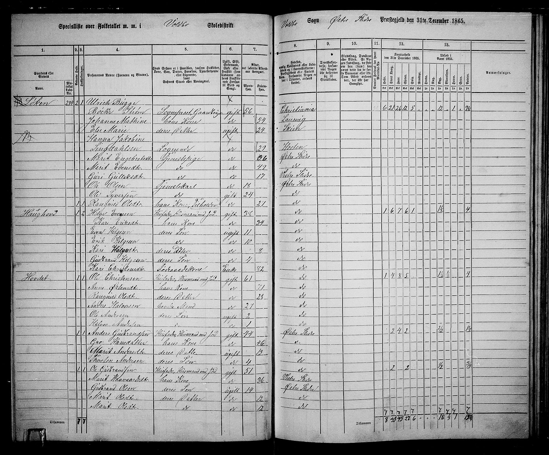 RA, 1865 census for Øystre Slidre, 1865, p. 73