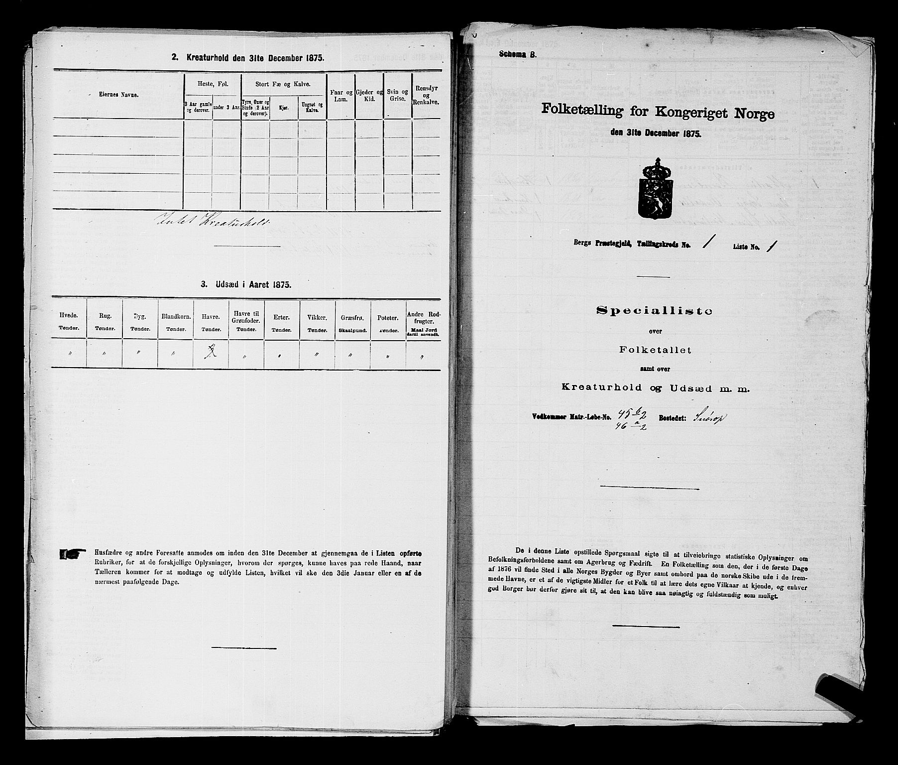 RA, 1875 census for 0116P Berg, 1875, p. 132