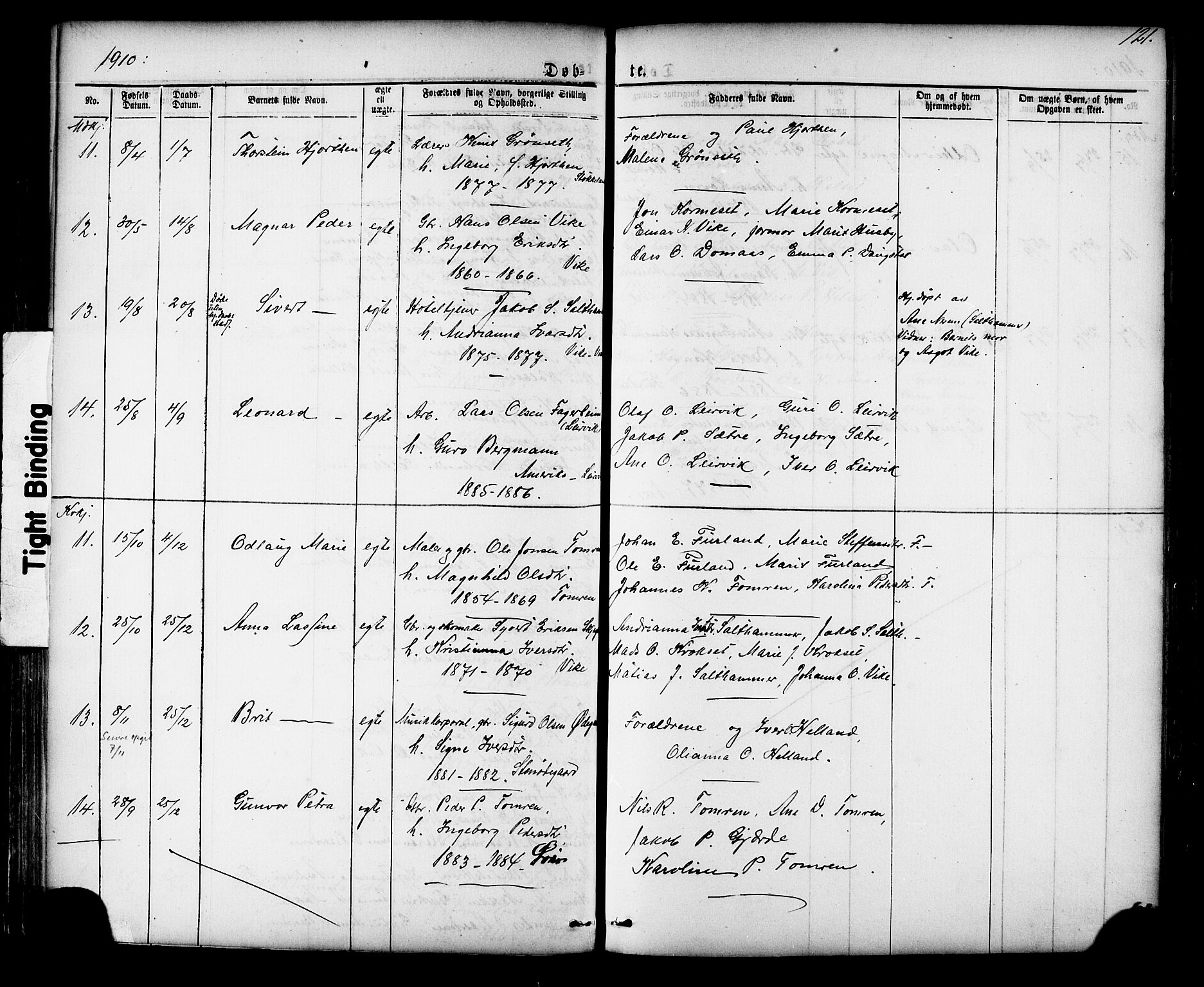 Ministerialprotokoller, klokkerbøker og fødselsregistre - Møre og Romsdal, AV/SAT-A-1454/539/L0536: Parish register (copy) no. 539C02, 1867-1913, p. 121