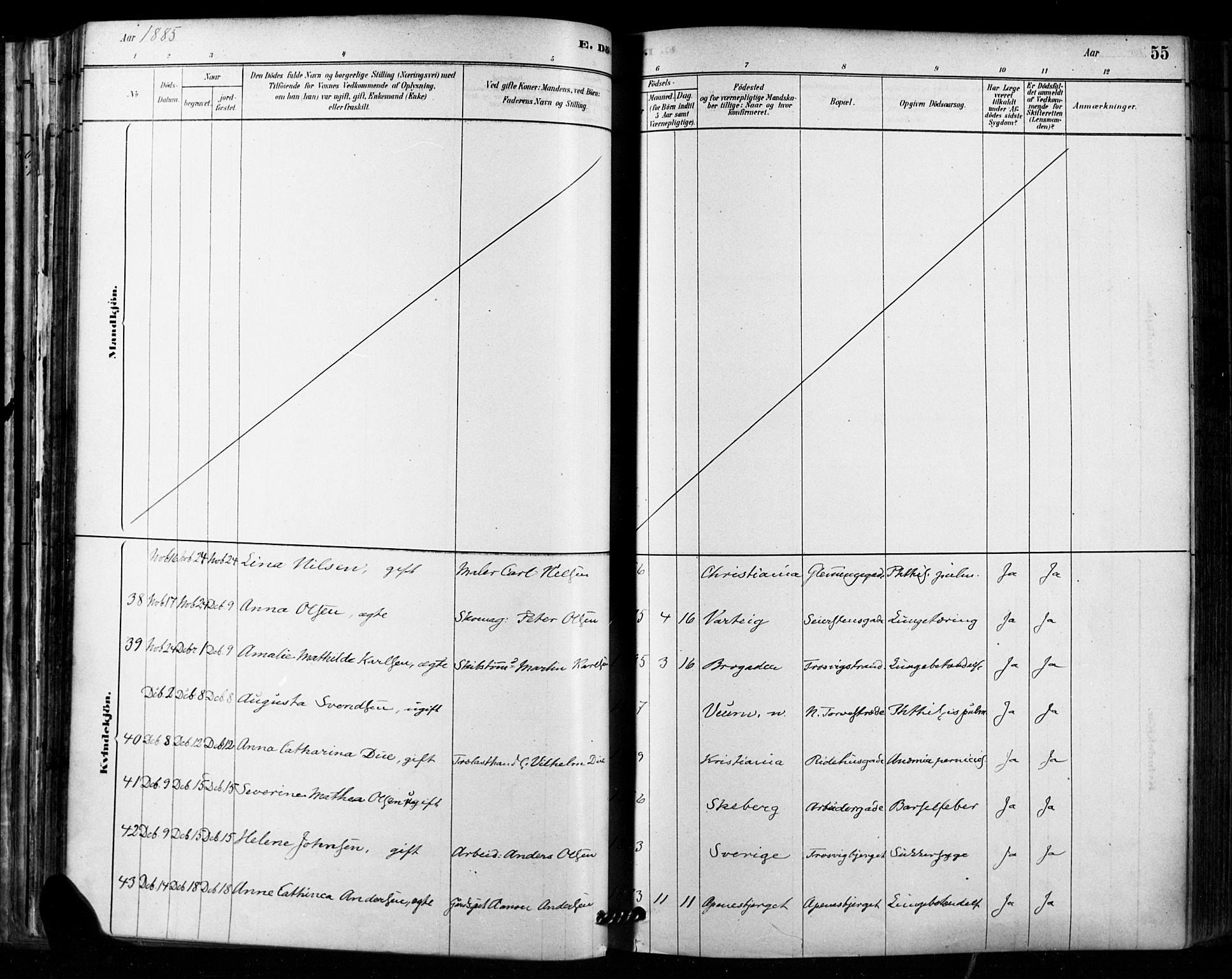 Fredrikstad domkirkes prestekontor Kirkebøker, AV/SAO-A-10906/F/Fa/L0003: Parish register (official) no. 3, 1878-1904, p. 55