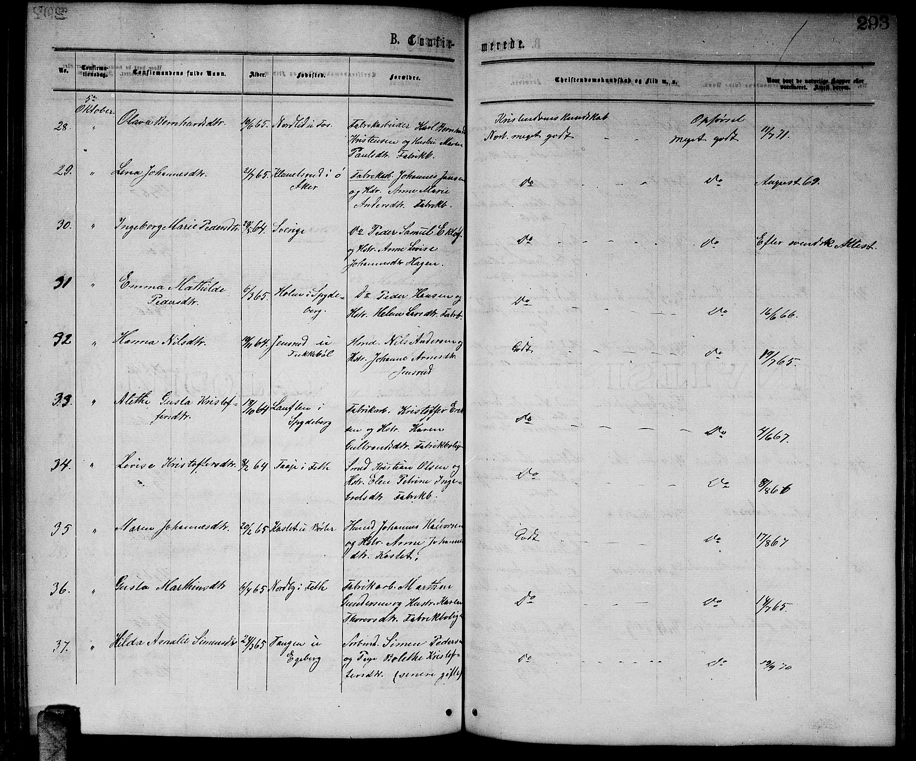 Enebakk prestekontor Kirkebøker, AV/SAO-A-10171c/G/Ga/L0005: Parish register (copy) no. I 5, 1867-1888, p. 293