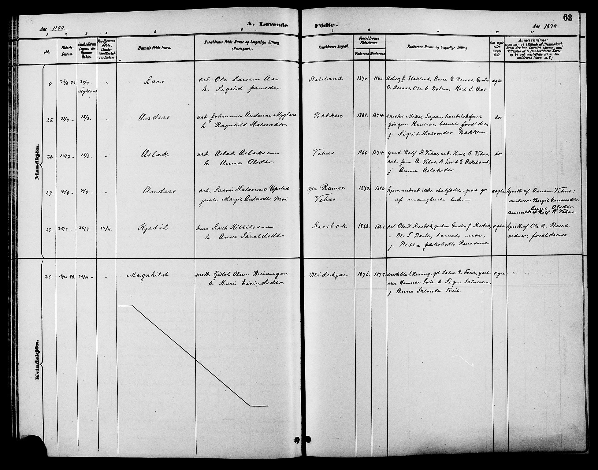 Åmli sokneprestkontor, SAK/1111-0050/F/Fb/Fbc/L0004: Parish register (copy) no. B 4, 1889-1902, p. 63