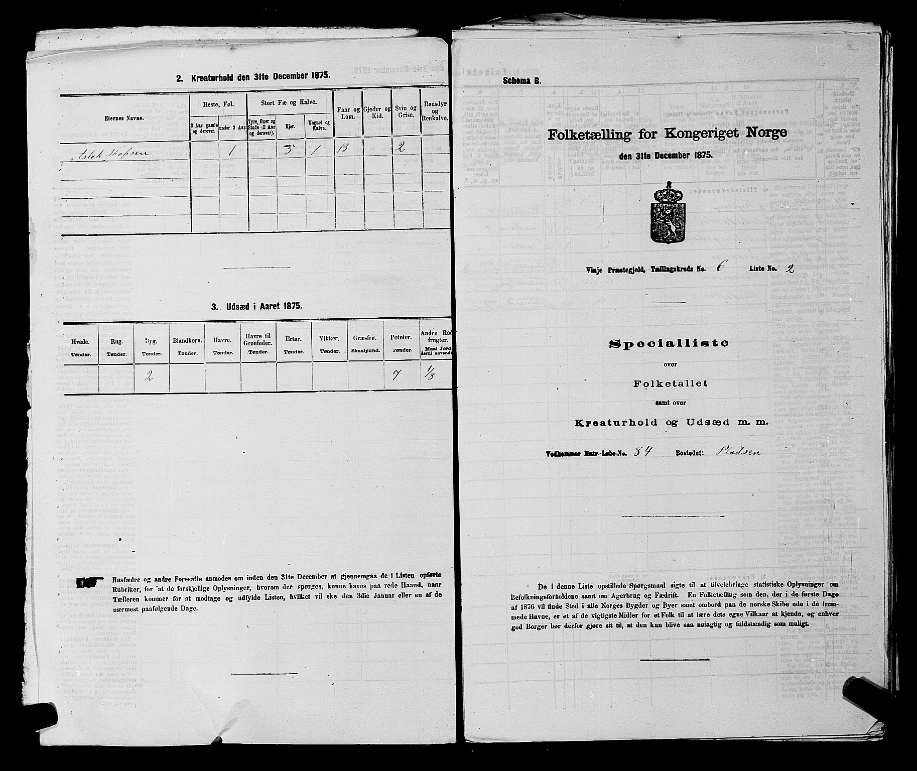 SAKO, 1875 census for 0834P Vinje, 1875, p. 428