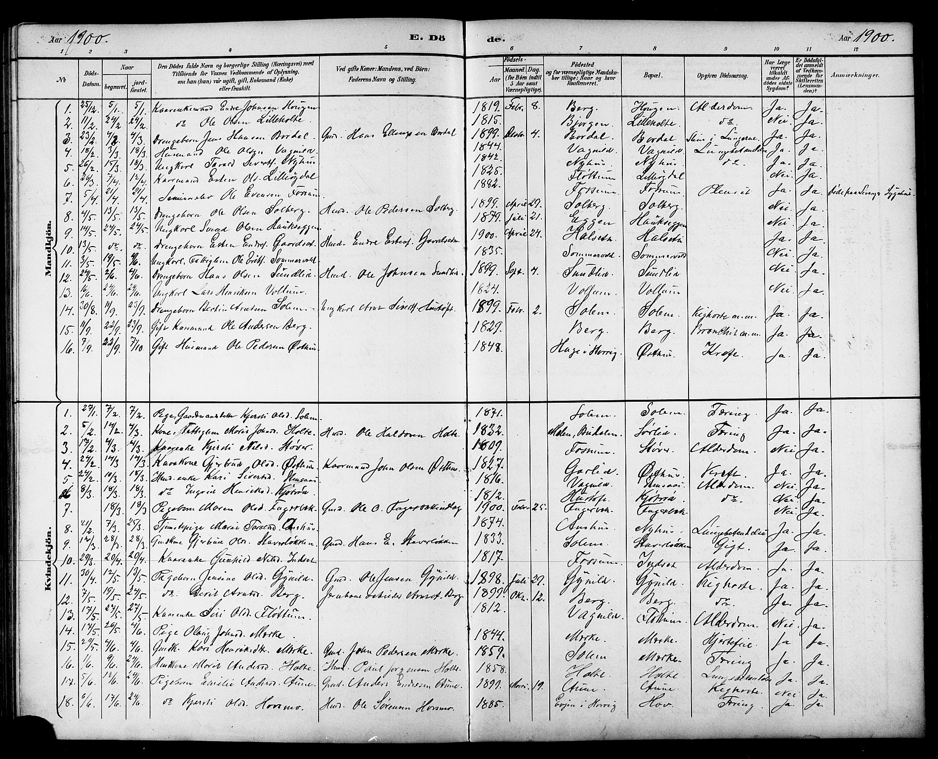 Ministerialprotokoller, klokkerbøker og fødselsregistre - Sør-Trøndelag, AV/SAT-A-1456/689/L1044: Parish register (copy) no. 689C03, 1893-1922