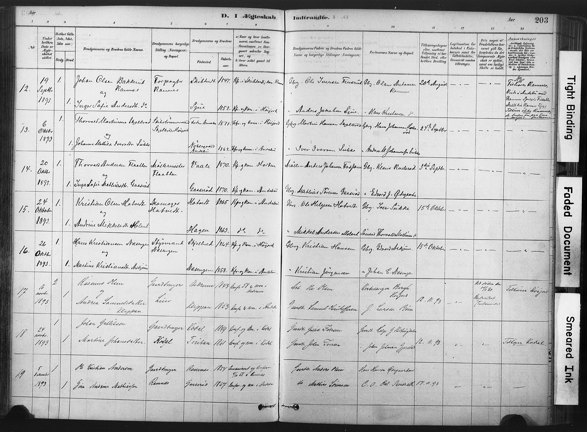 Andebu kirkebøker, AV/SAKO-A-336/F/Fa/L0007: Parish register (official) no. 7, 1878-1899, p. 203