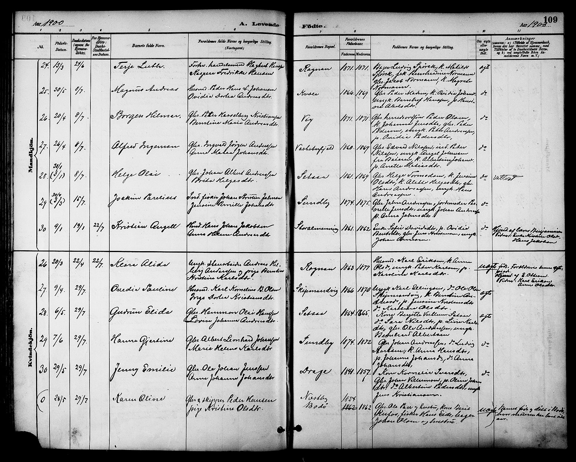 Ministerialprotokoller, klokkerbøker og fødselsregistre - Nordland, SAT/A-1459/847/L0669: Parish register (official) no. 847A09, 1887-1901, p. 109