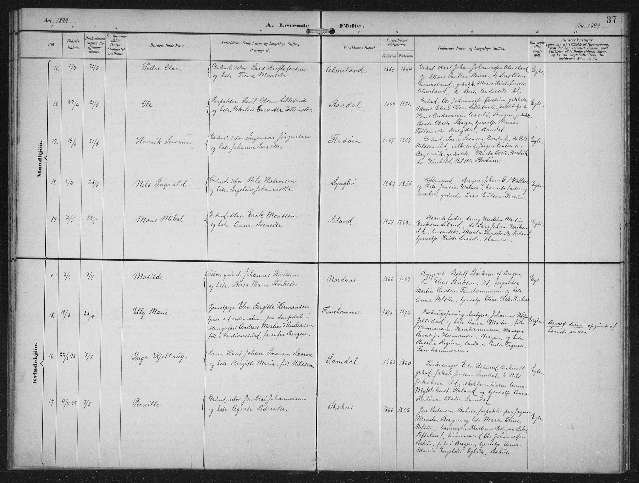 Fana Sokneprestembete, AV/SAB-A-75101/H/Hab/Haba/L0003: Parish register (copy) no. A 3, 1895-1902, p. 37