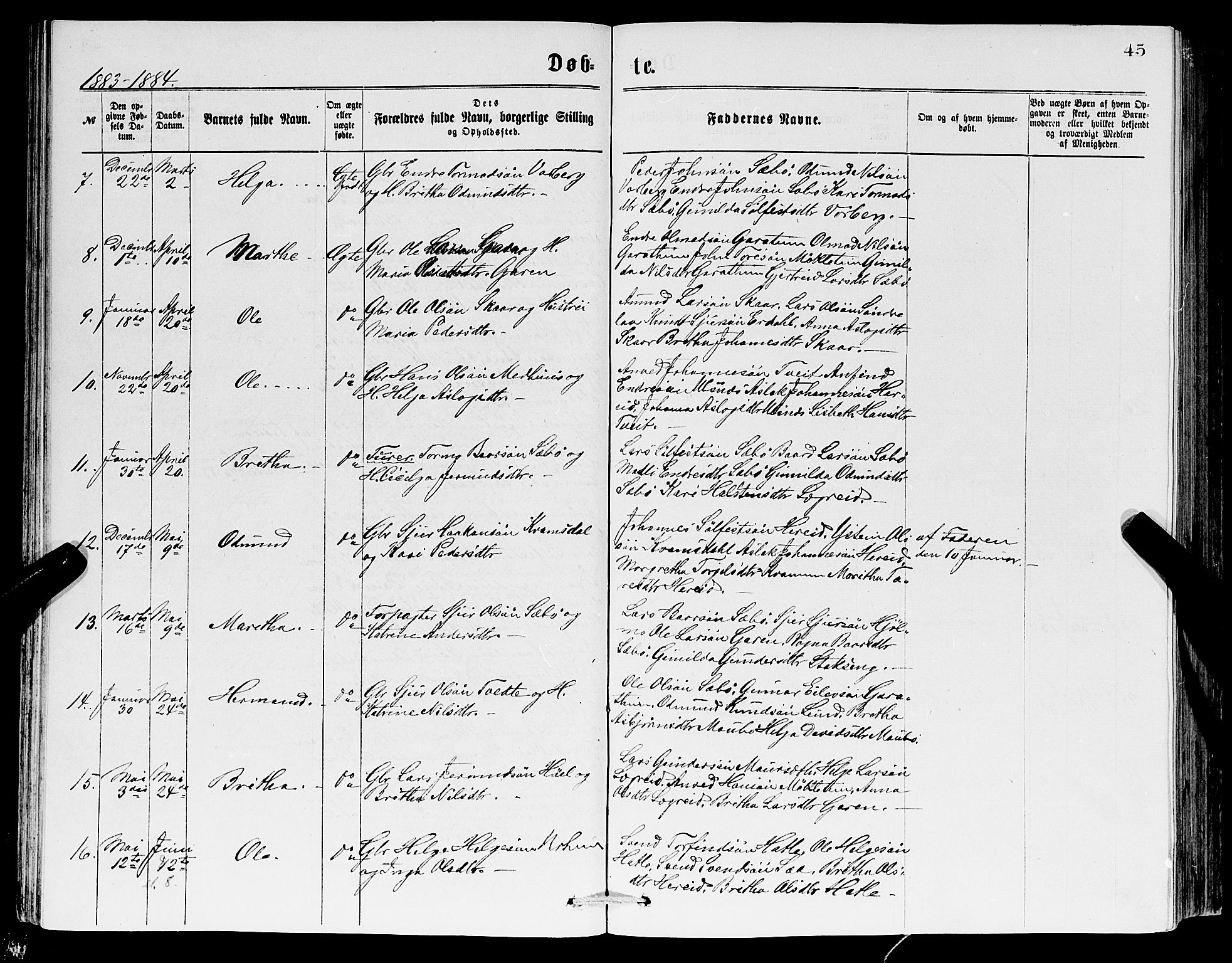 Ullensvang sokneprestembete, SAB/A-78701/H/Hab: Parish register (copy) no. C 2, 1871-1899, p. 45