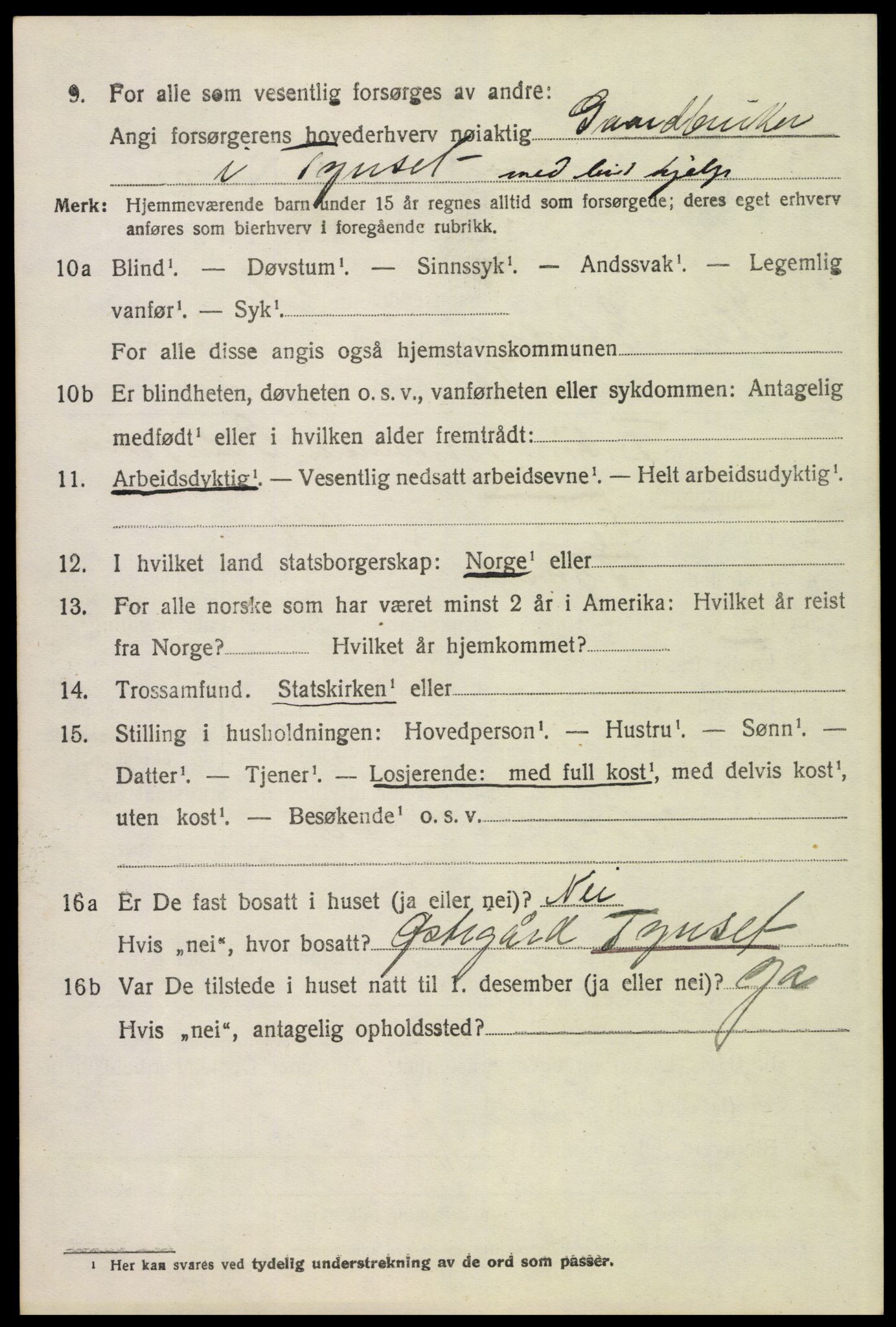 SAH, 1920 census for Stor-Elvdal, 1920, p. 4395