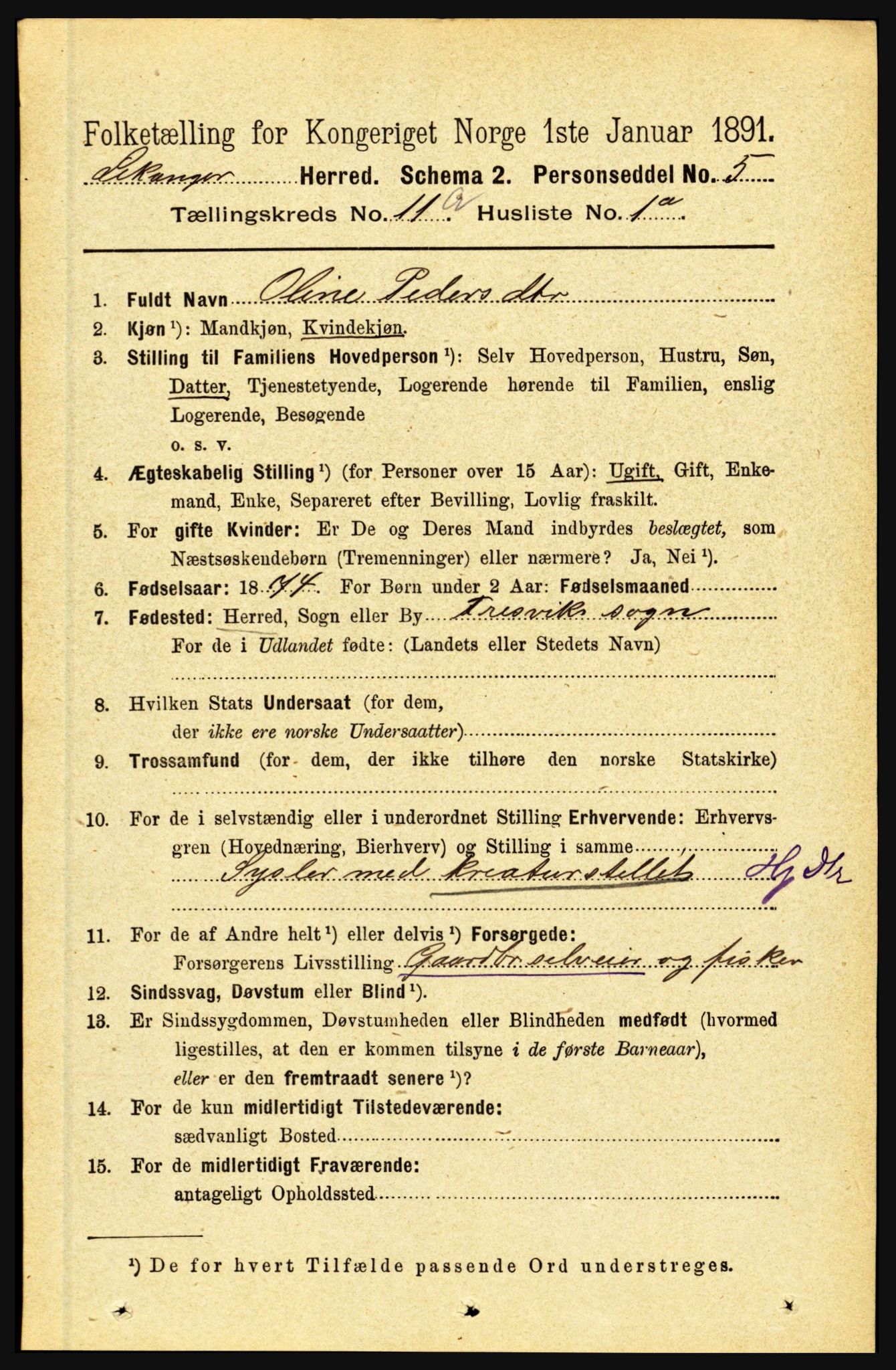RA, 1891 census for 1419 Leikanger, 1891, p. 1973