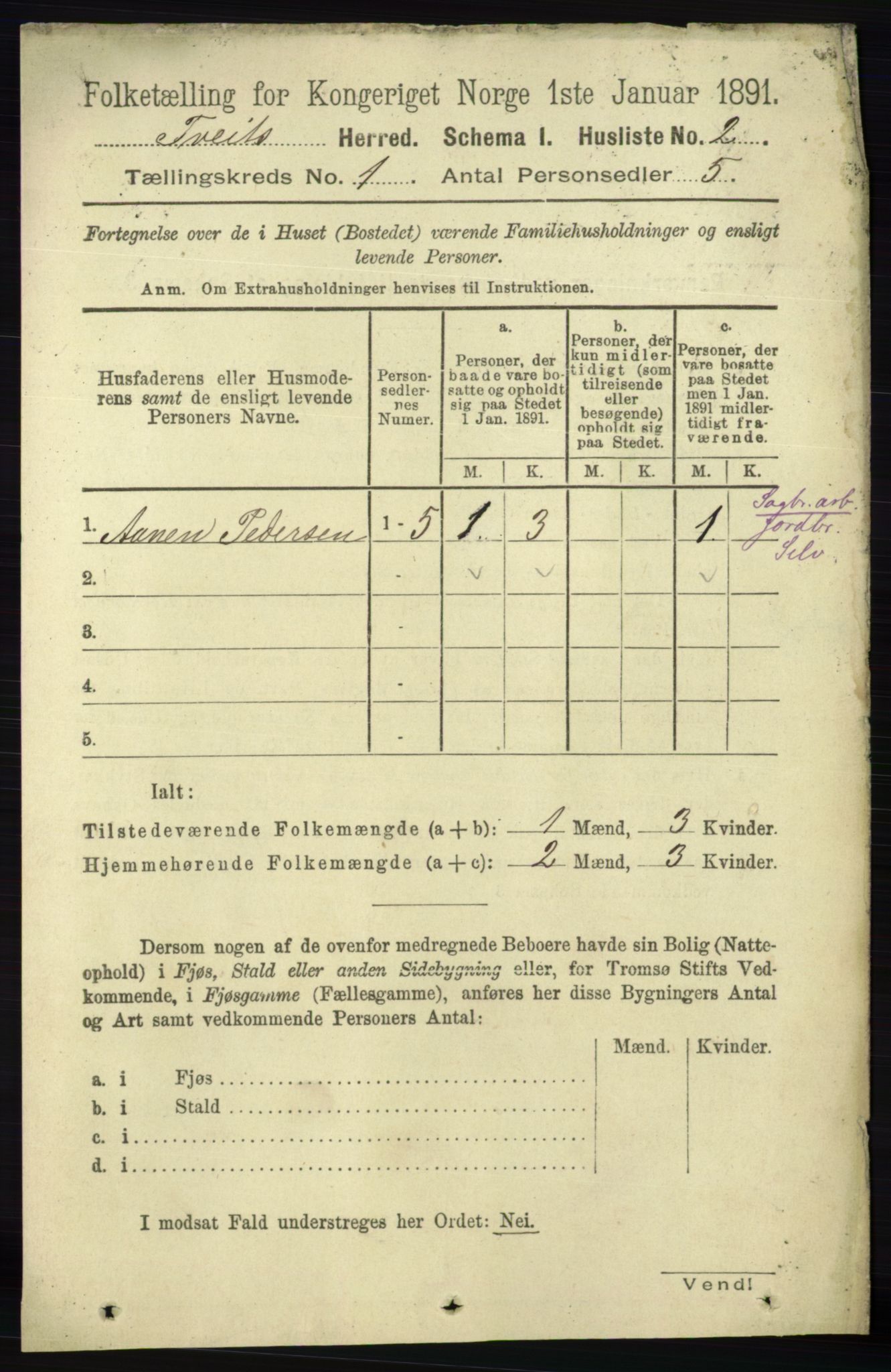 RA, 1891 census for 1013 Tveit, 1891, p. 16