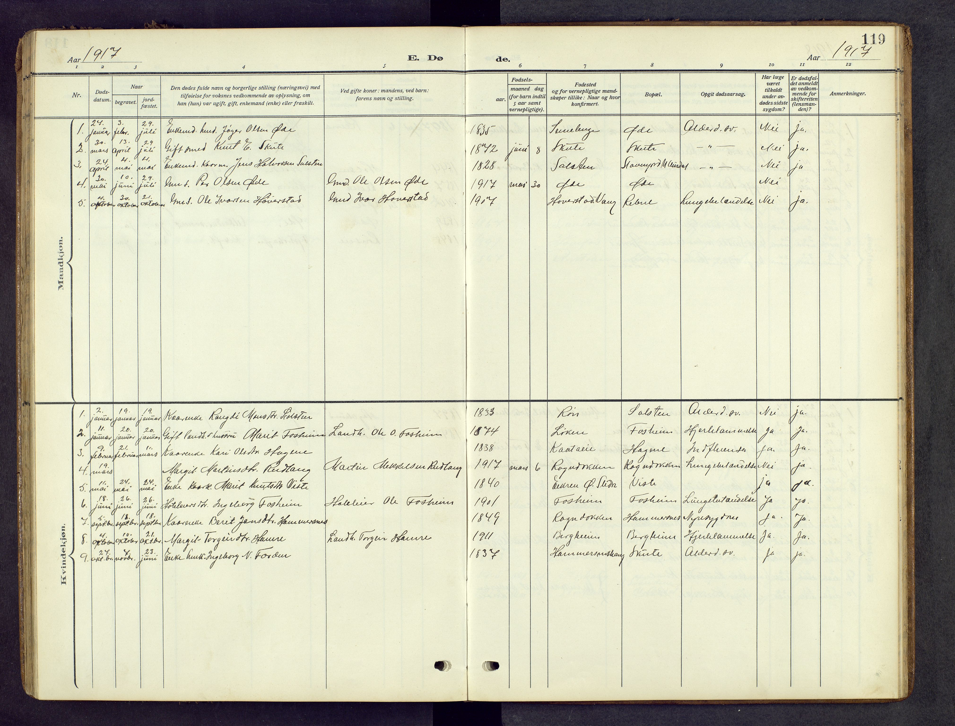 Vestre Slidre prestekontor, AV/SAH-PREST-136/H/Ha/Hab/L0008: Parish register (copy) no. 8, 1909-1952, p. 119
