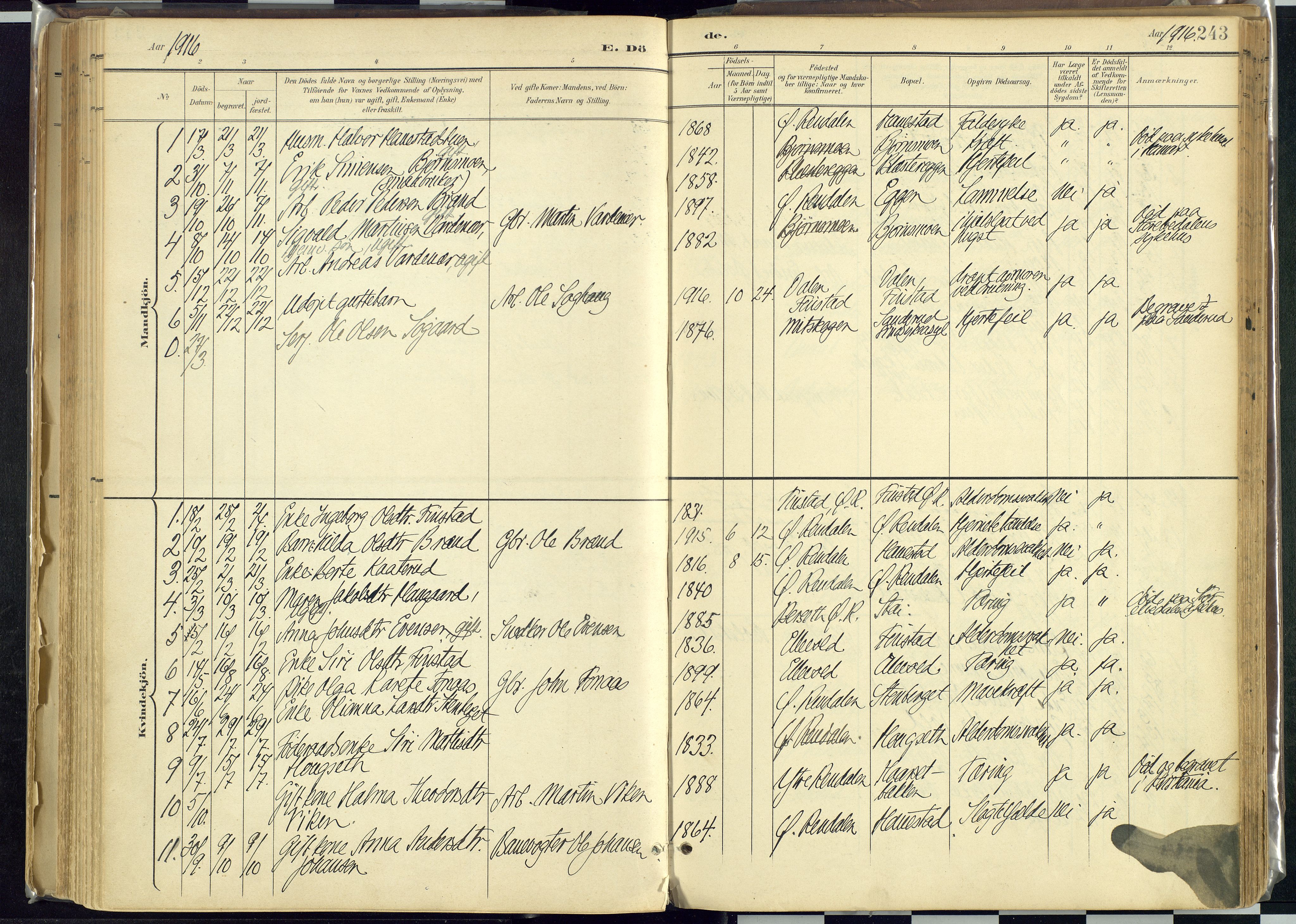 Rendalen prestekontor, AV/SAH-PREST-054/H/Ha/Haa/L0012: Parish register (official) no. 12, 1901-1928, p. 243