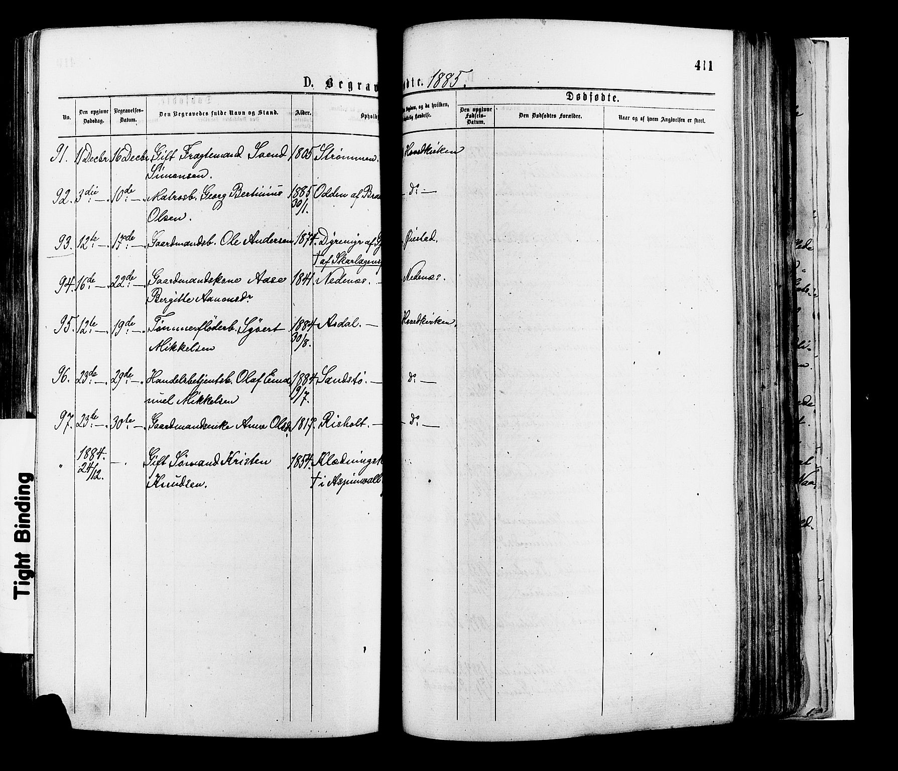 Øyestad sokneprestkontor, AV/SAK-1111-0049/F/Fa/L0016: Parish register (official) no. A 16, 1874-1886, p. 411