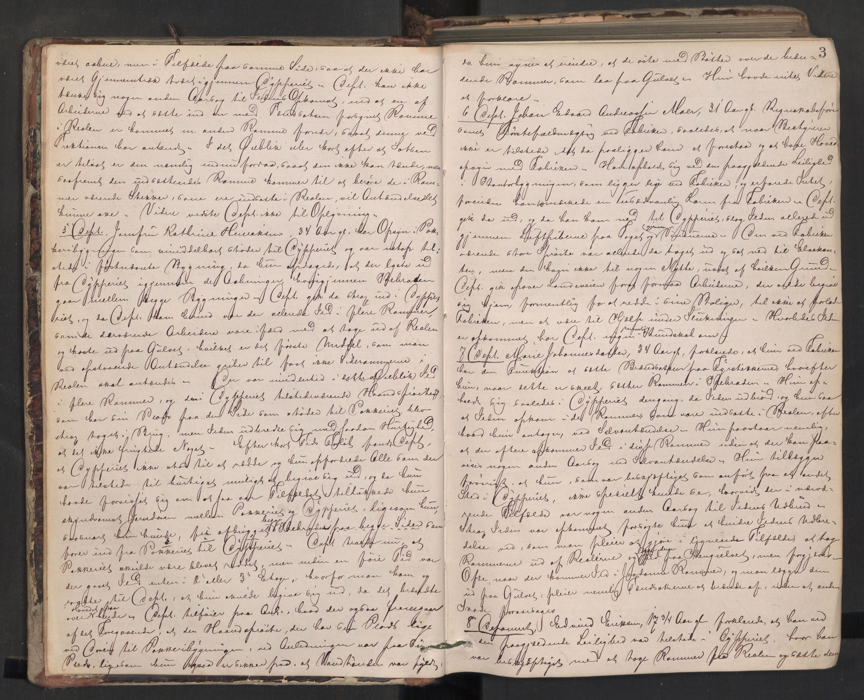 Nedre Romerike sorenskriveri, AV/SAO-A-10469/F/Fc/L0031: Ekstrarettsprotokoll, 1875-1881, p. 3