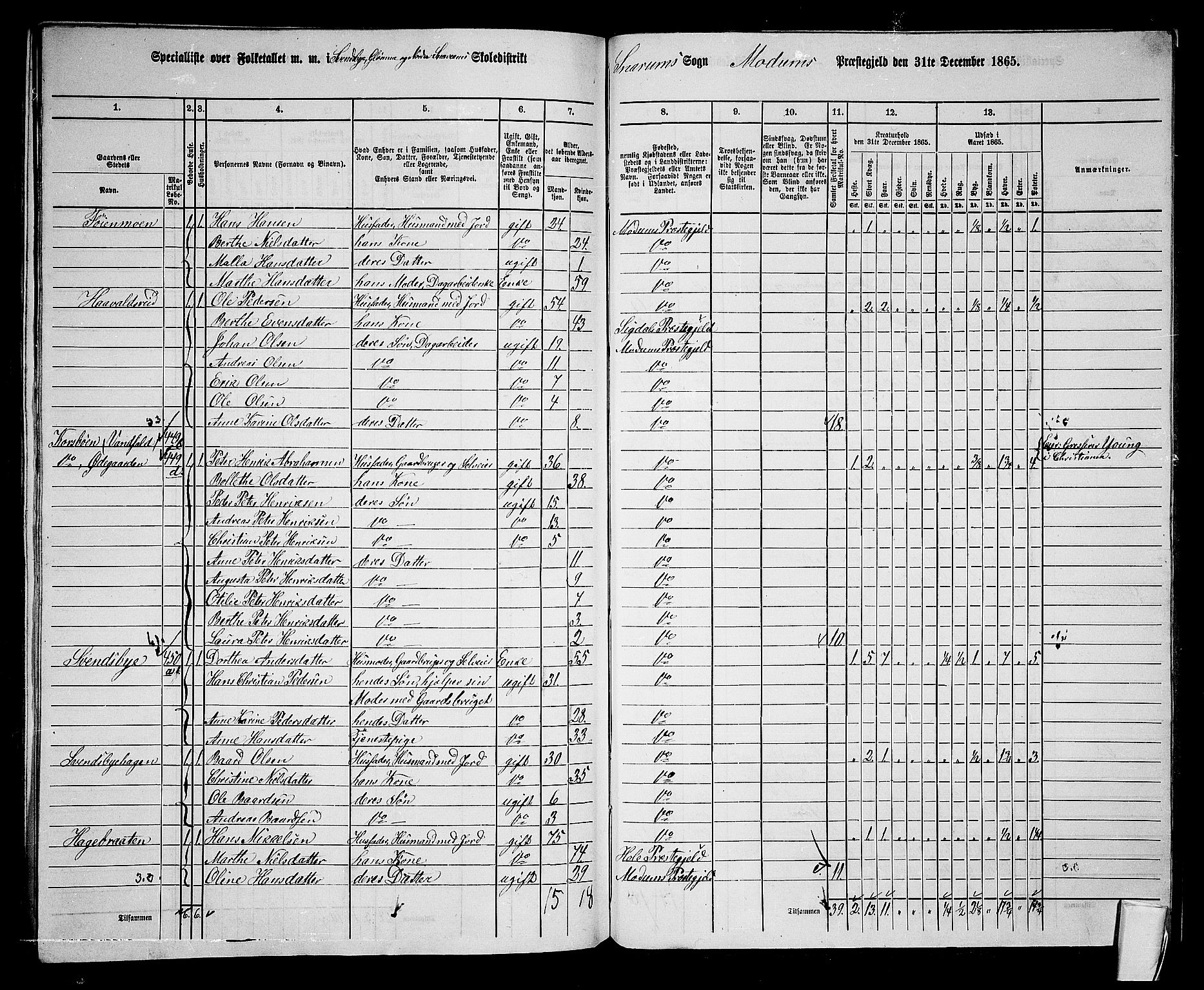 RA, 1865 census for Modum, 1865, p. 317