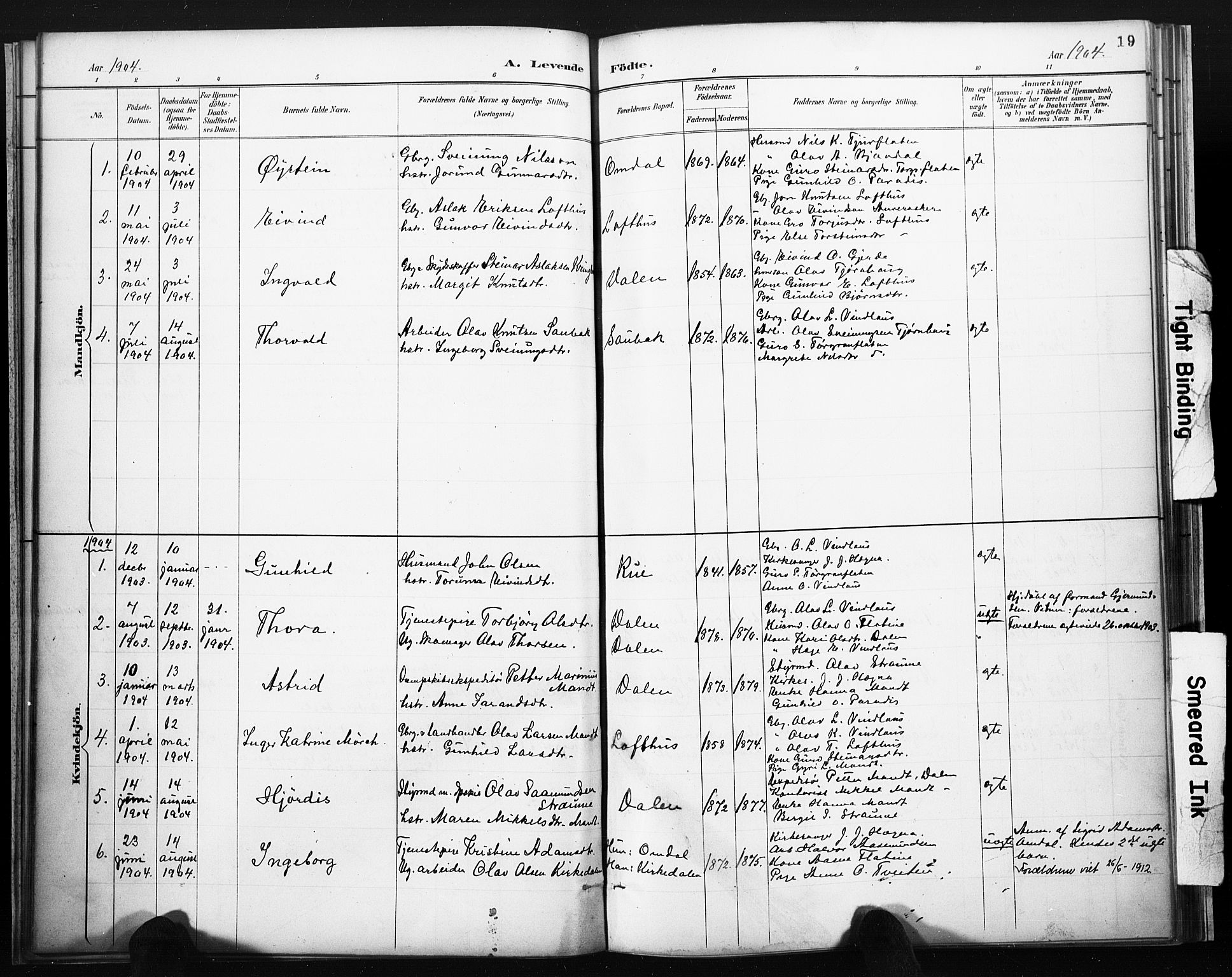 Lårdal kirkebøker, SAKO/A-284/F/Fb/L0002: Parish register (official) no. II 2, 1887-1918, p. 19