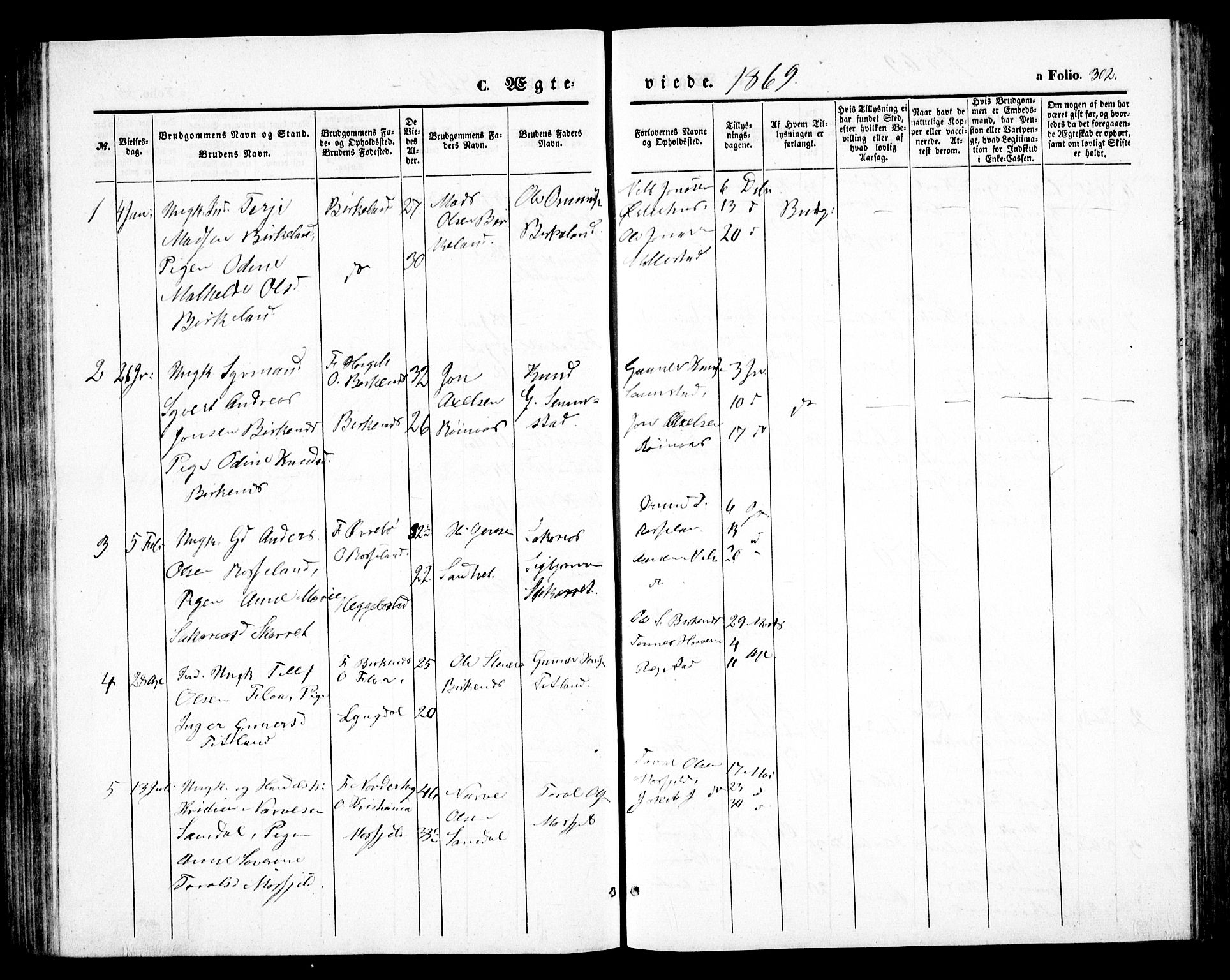 Birkenes sokneprestkontor, AV/SAK-1111-0004/F/Fb/L0002: Parish register (copy) no. B 2, 1849-1876, p. 302