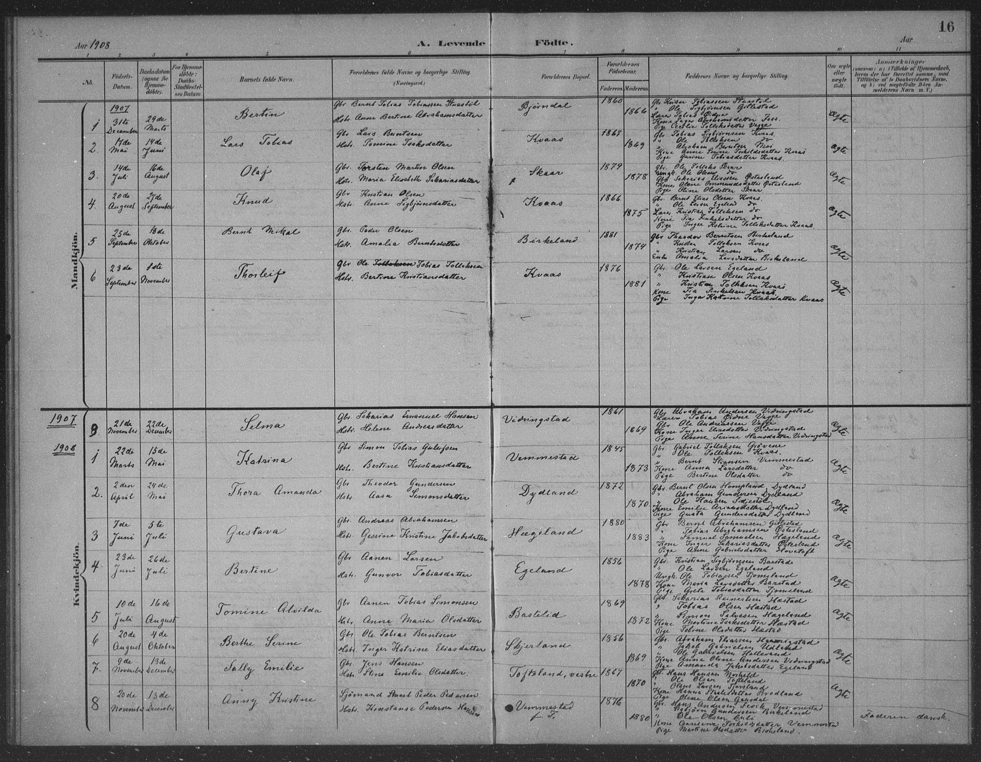 Lyngdal sokneprestkontor, AV/SAK-1111-0029/F/Fb/Fbb/L0002: Parish register (copy) no. B 2, 1901-1934, p. 16