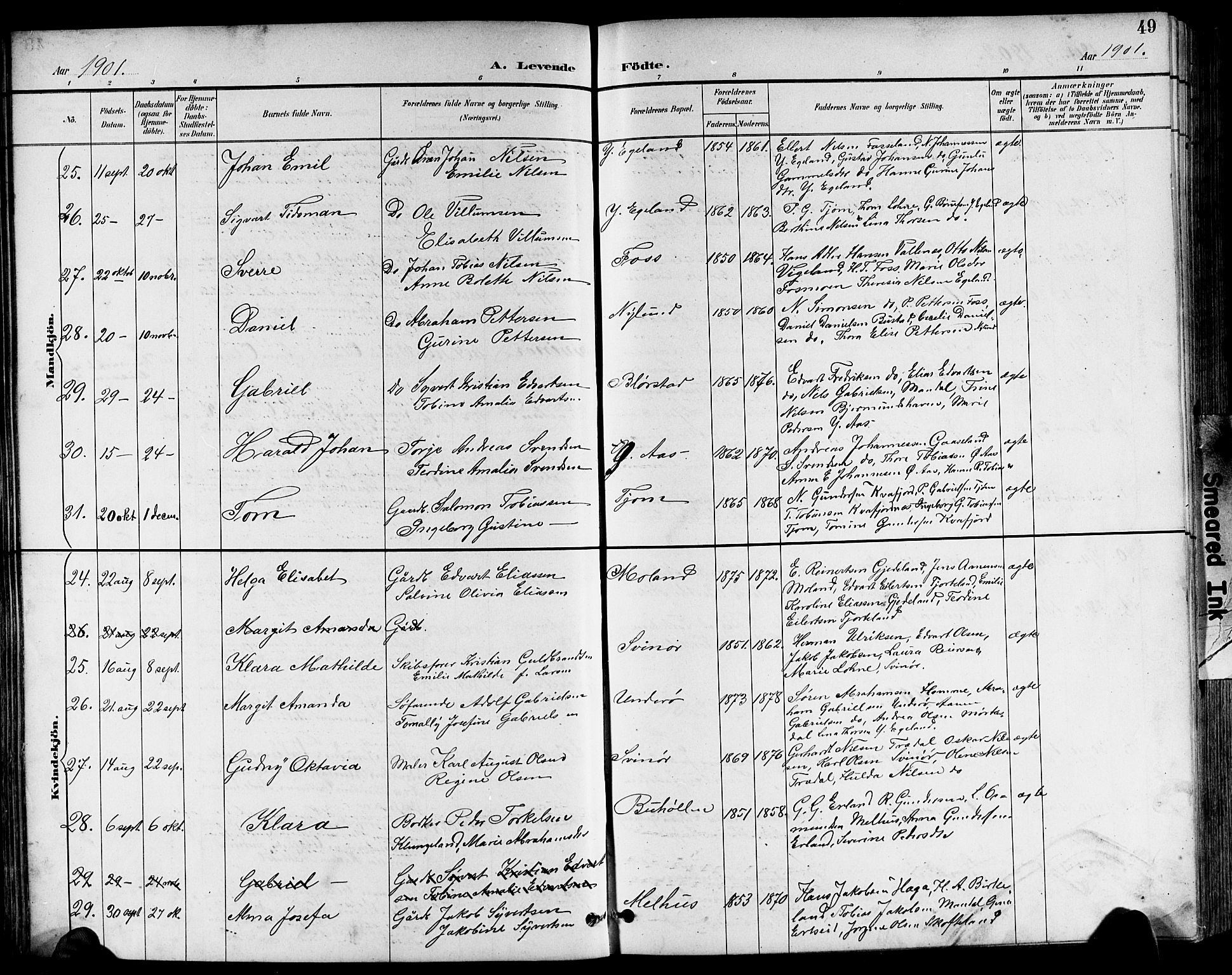 Sør-Audnedal sokneprestkontor, AV/SAK-1111-0039/F/Fb/Fbb/L0006: Parish register (copy) no. B 6, 1893-1915, p. 49