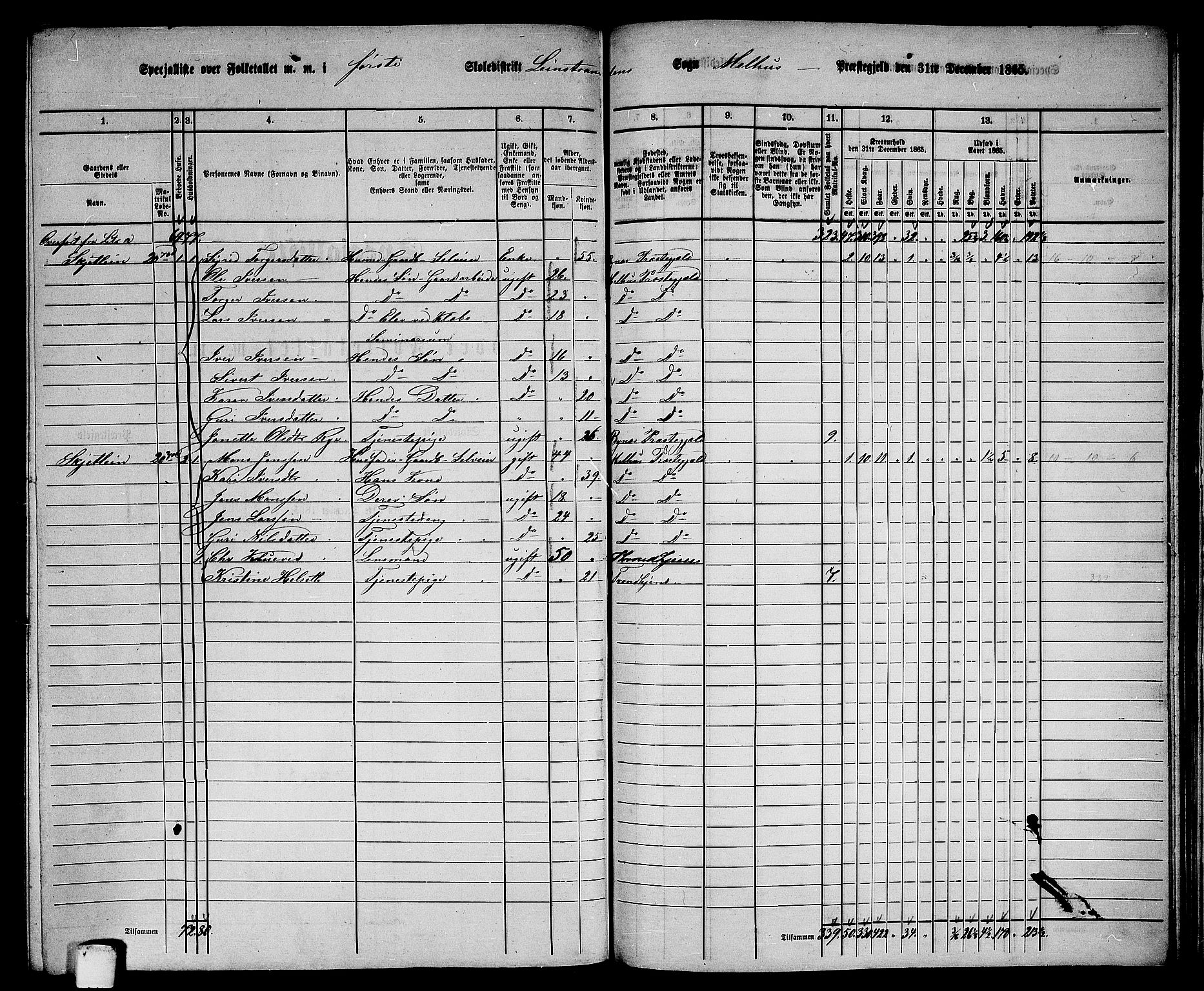 RA, 1865 census for Melhus, 1865, p. 214