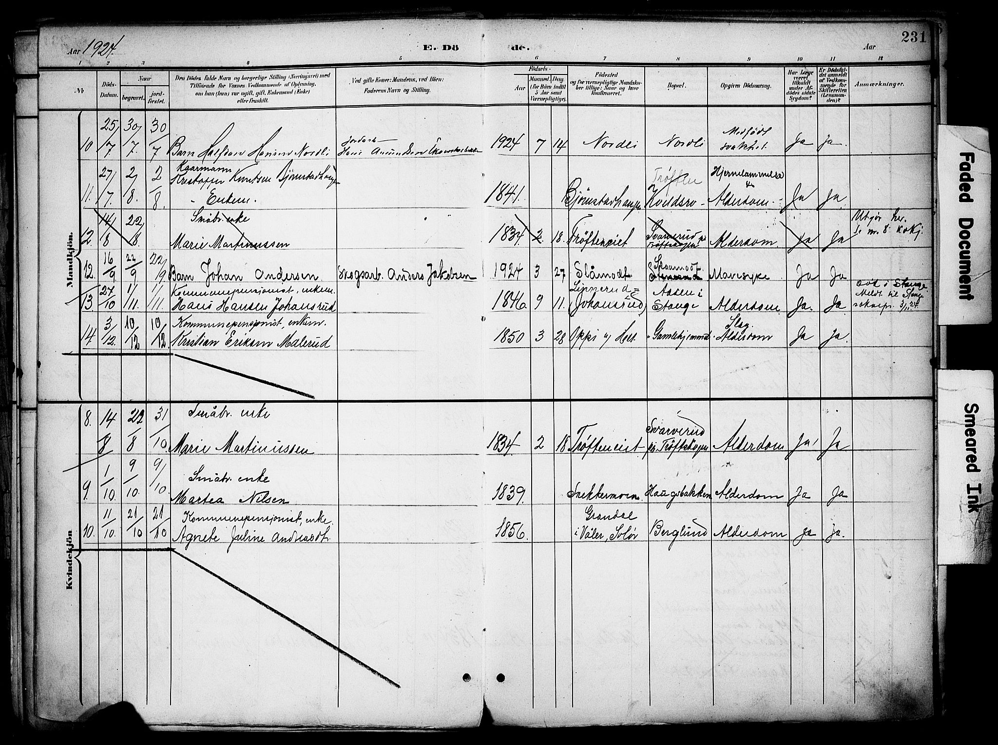 Nord-Odal prestekontor, AV/SAH-PREST-032/H/Ha/Haa/L0007: Parish register (official) no. 7, 1902-1926, p. 231