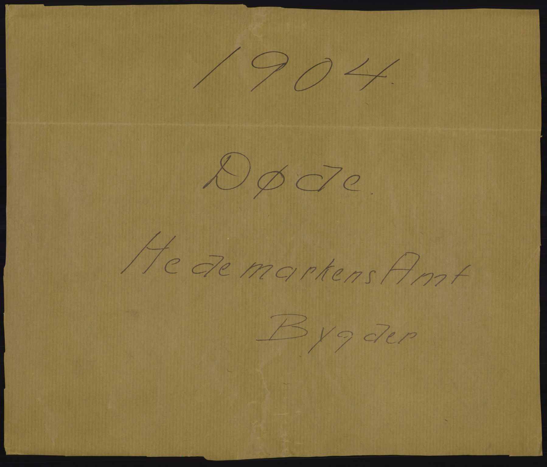 Statistisk sentralbyrå, Sosiodemografiske emner, Befolkning, AV/RA-S-2228/D/Df/Dfa/Dfab/L0005: Hedemarkens amt: Fødte, gifte, døde, 1904, p. 645