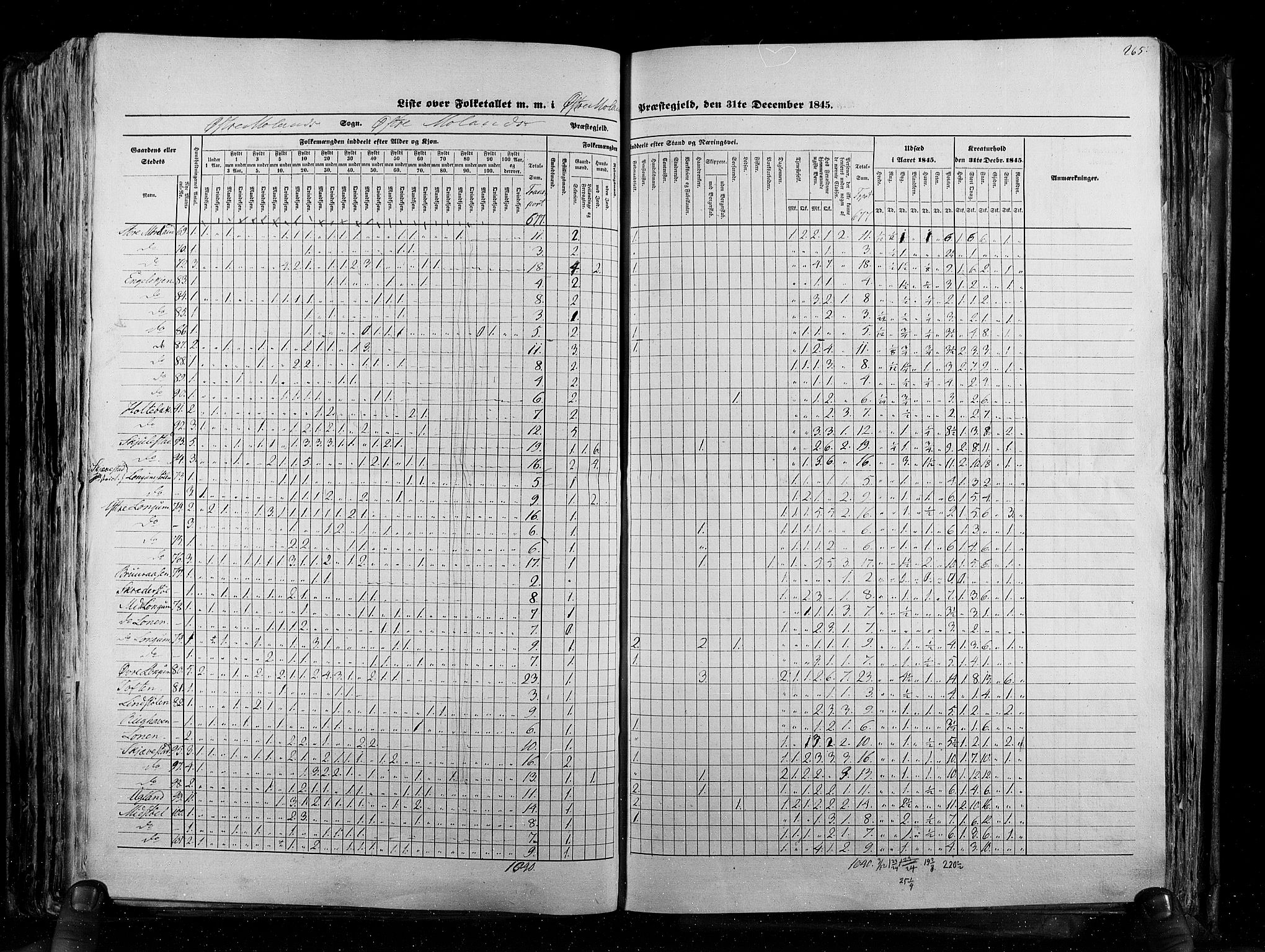 RA, Census 1845, vol. 5: Bratsberg amt og Nedenes og Råbyggelaget amt, 1845, p. 265