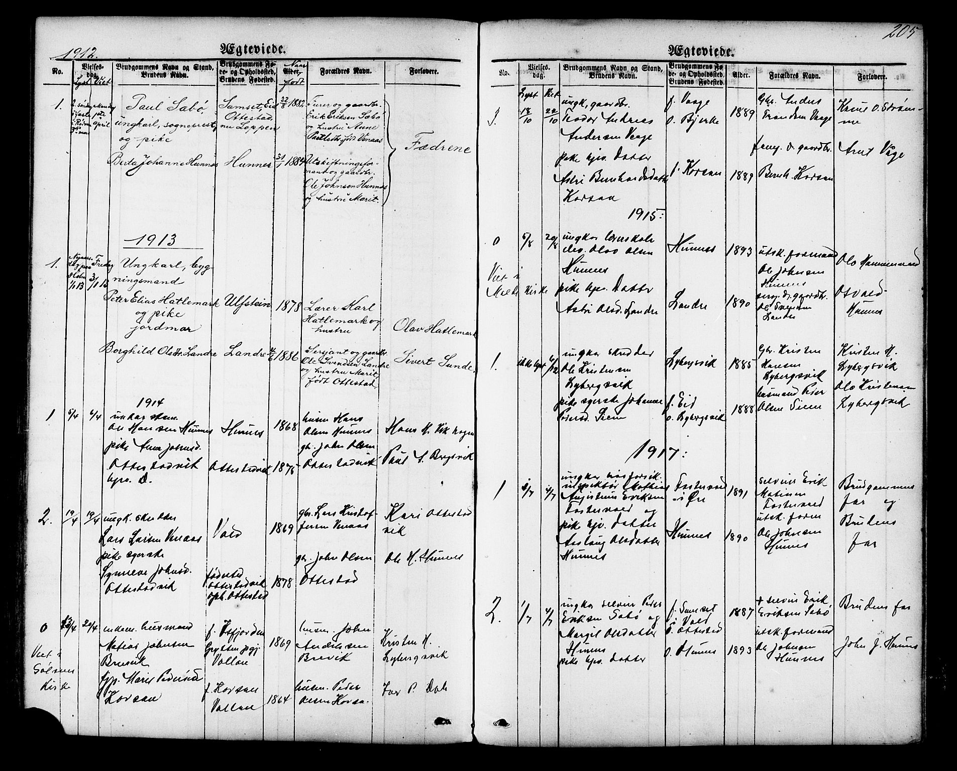 Ministerialprotokoller, klokkerbøker og fødselsregistre - Møre og Romsdal, SAT/A-1454/548/L0614: Parish register (copy) no. 548C02, 1867-1917, p. 205