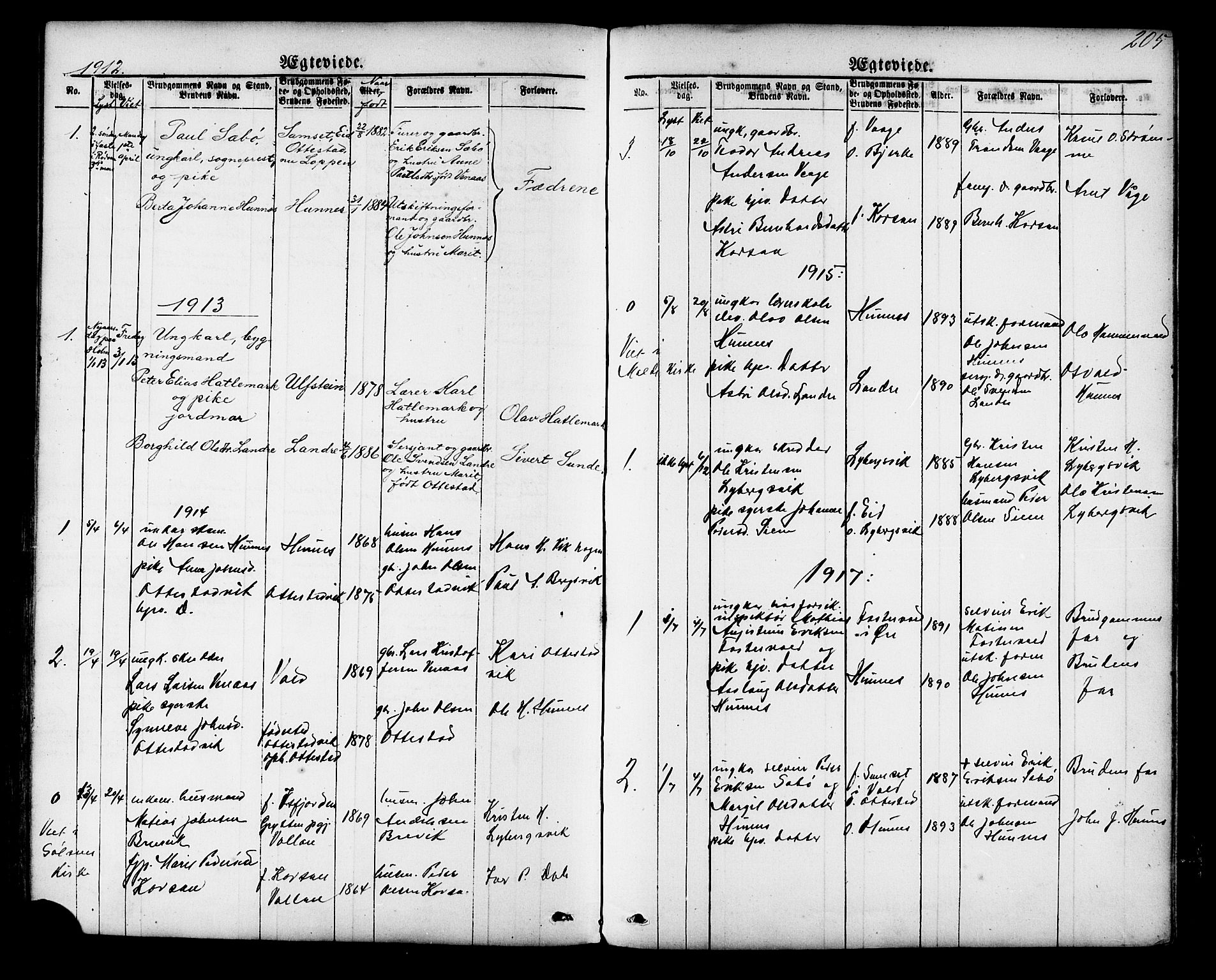 Ministerialprotokoller, klokkerbøker og fødselsregistre - Møre og Romsdal, AV/SAT-A-1454/548/L0614: Parish register (copy) no. 548C02, 1867-1917, p. 205