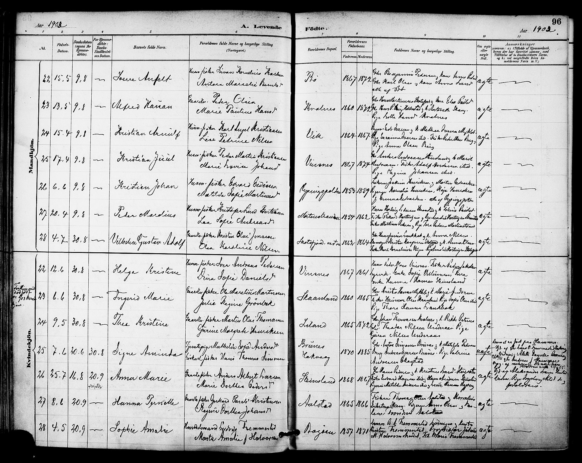 Ministerialprotokoller, klokkerbøker og fødselsregistre - Nordland, SAT/A-1459/855/L0803: Parish register (official) no. 855A11, 1887-1905, p. 96