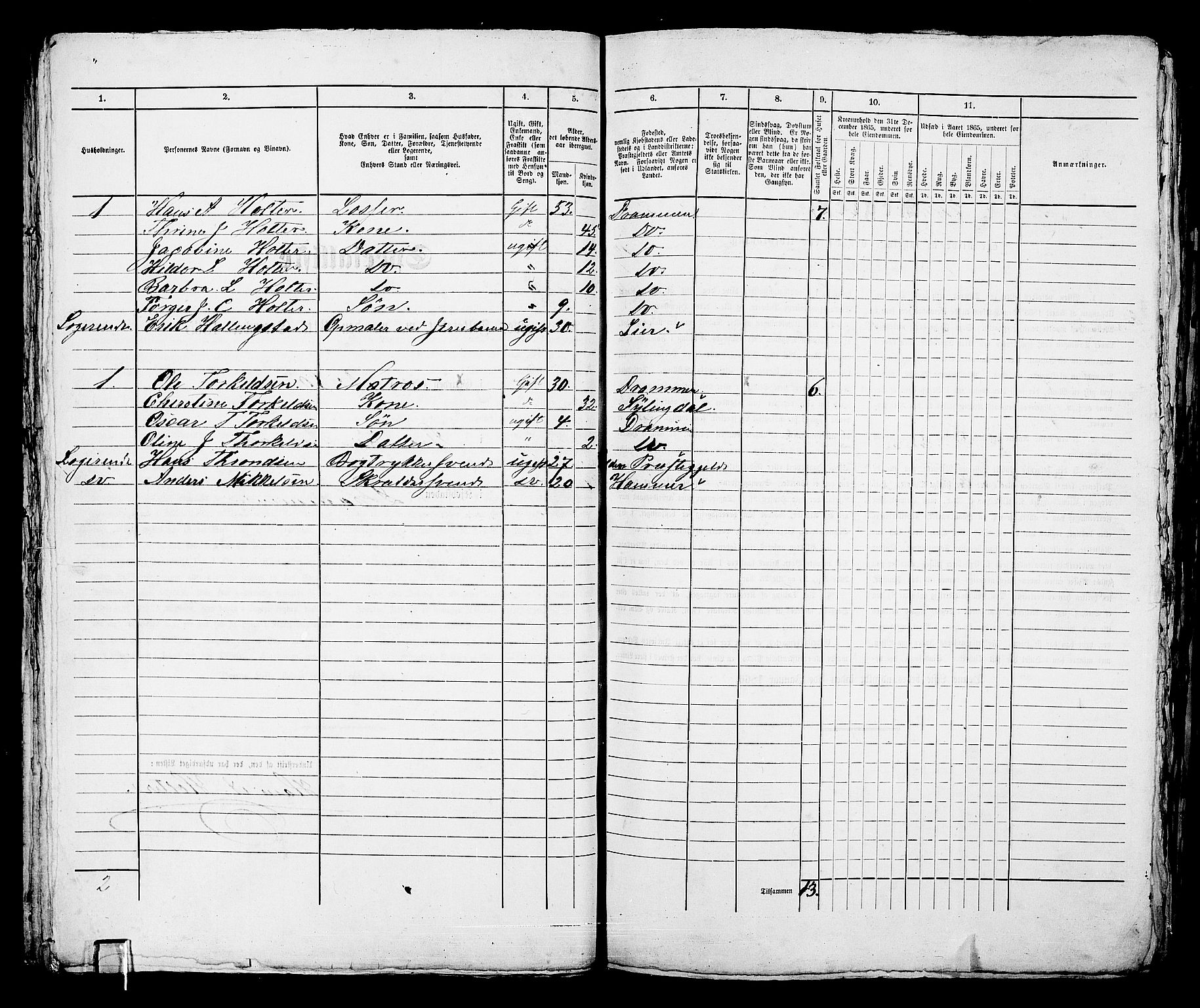 RA, 1865 census for Strømsø in Drammen, 1865, p. 56