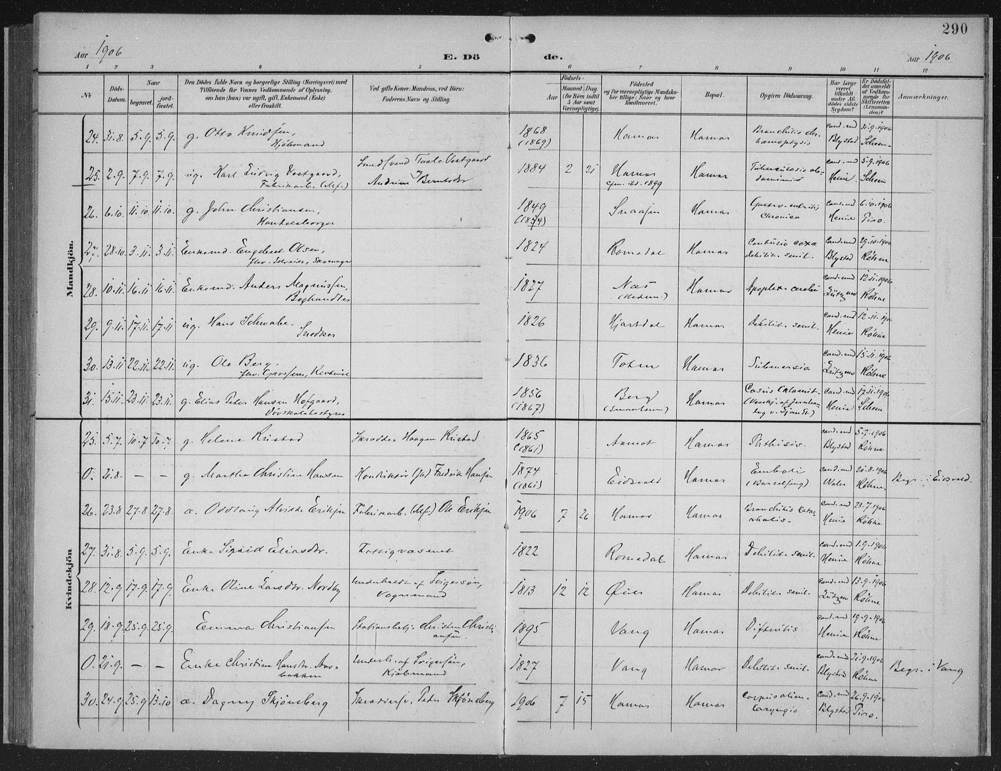 Hamar prestekontor, AV/SAH-DOMPH-002/H/Ha/Haa/L0001: Parish register (official) no. 1, 1900-1914, p. 290